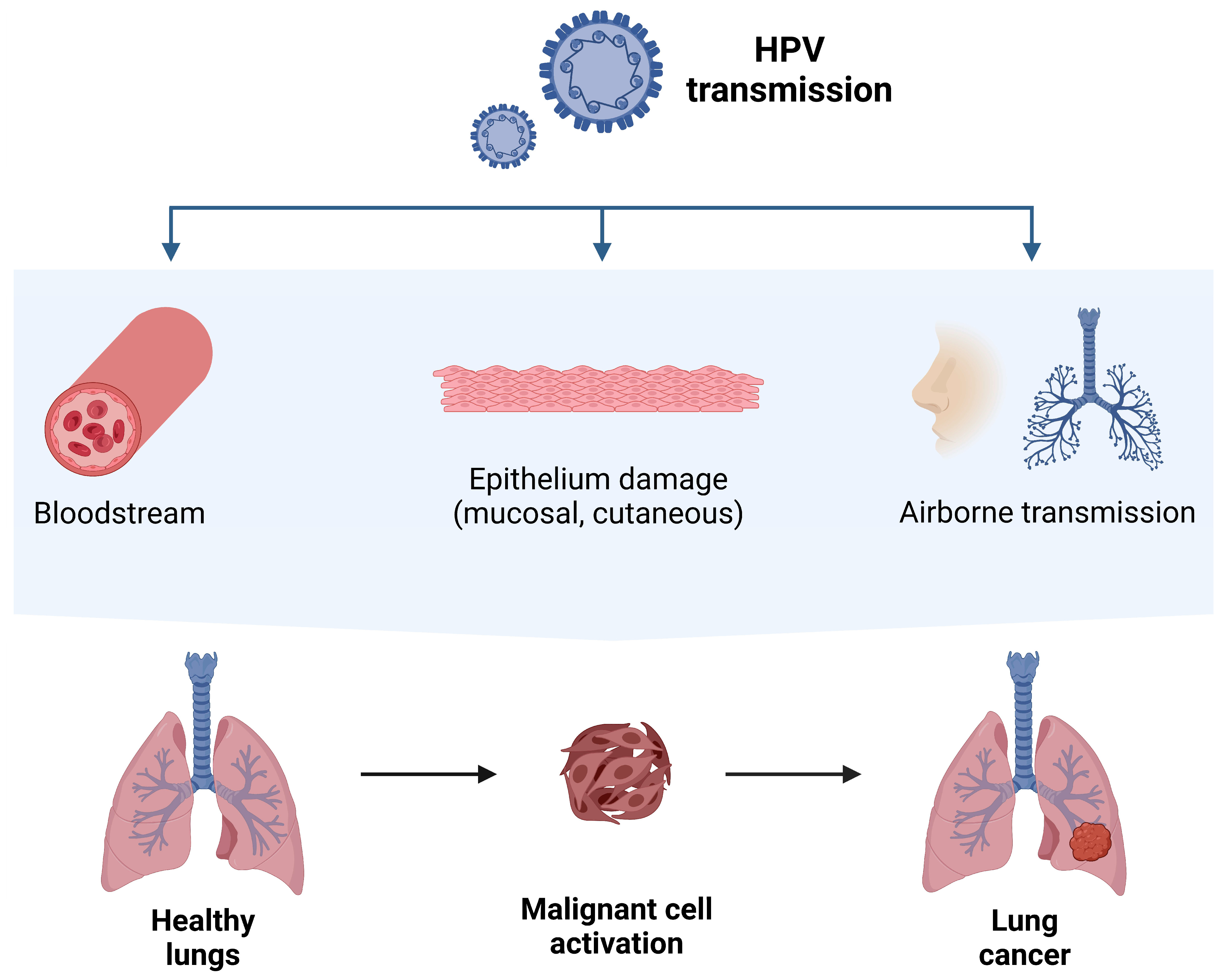 Cancers 16 03325 g003