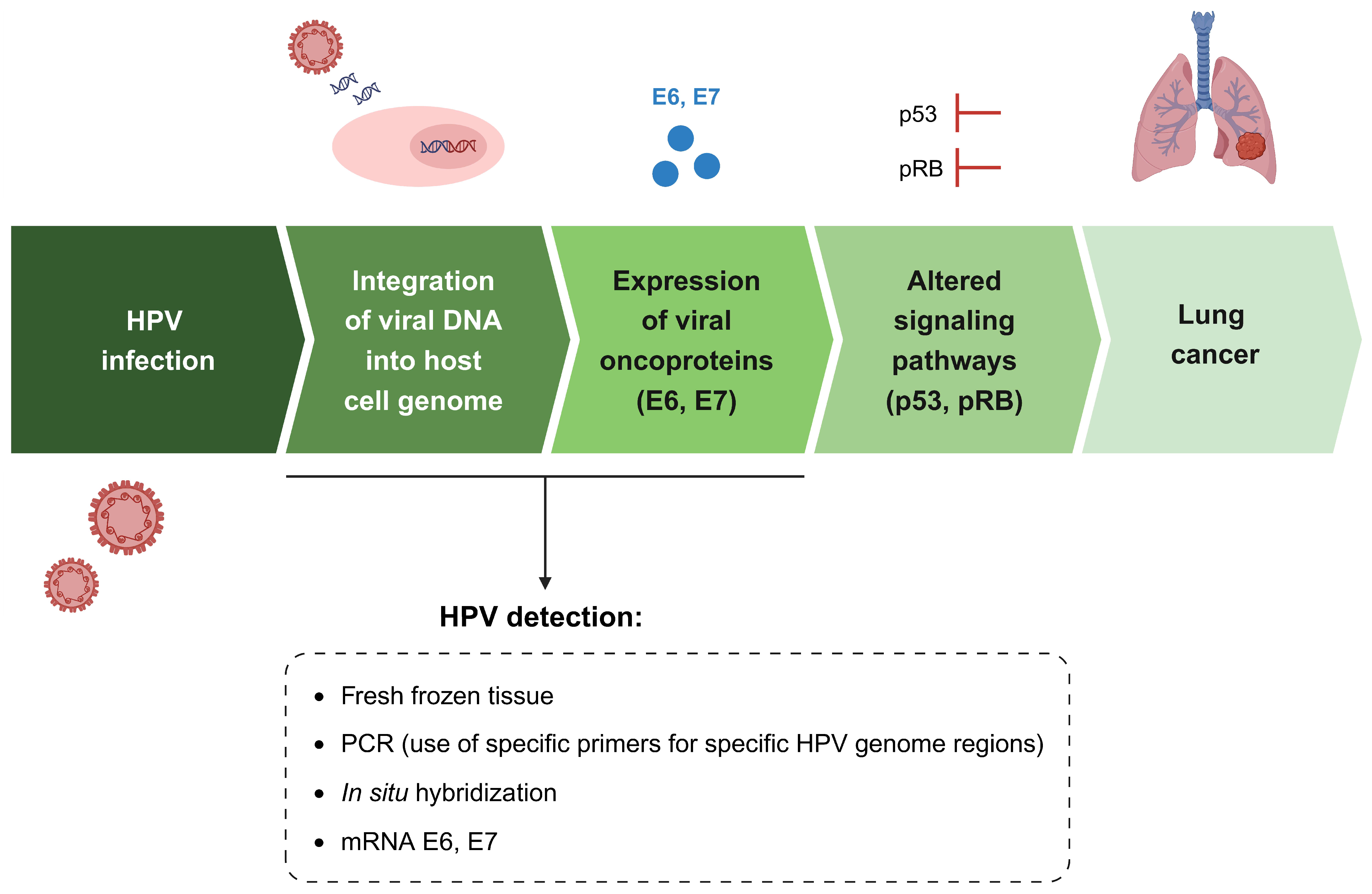 Cancers 16 03325 g004