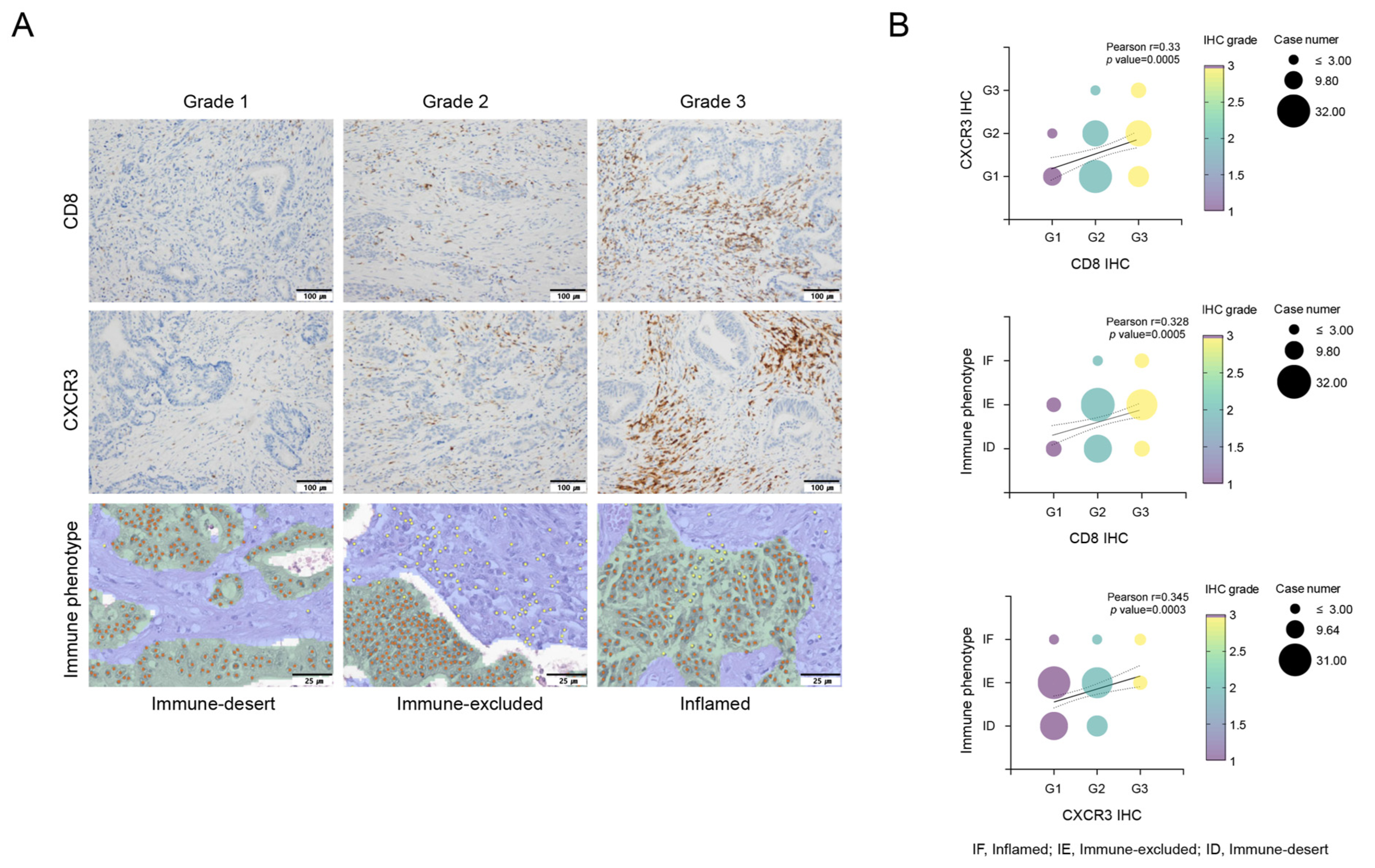 Cancers 16 03353 g001