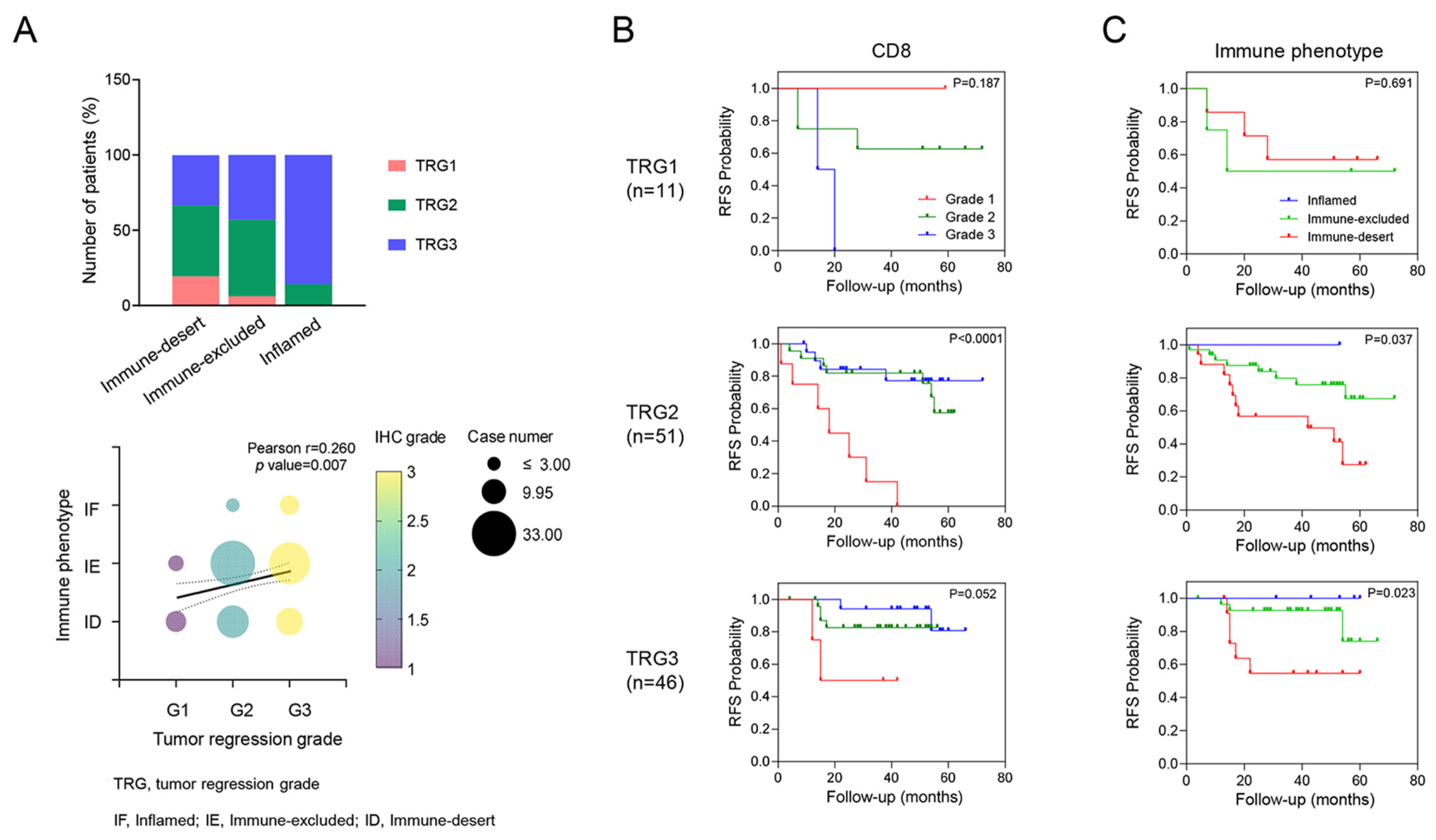 Cancers 16 03353 g002