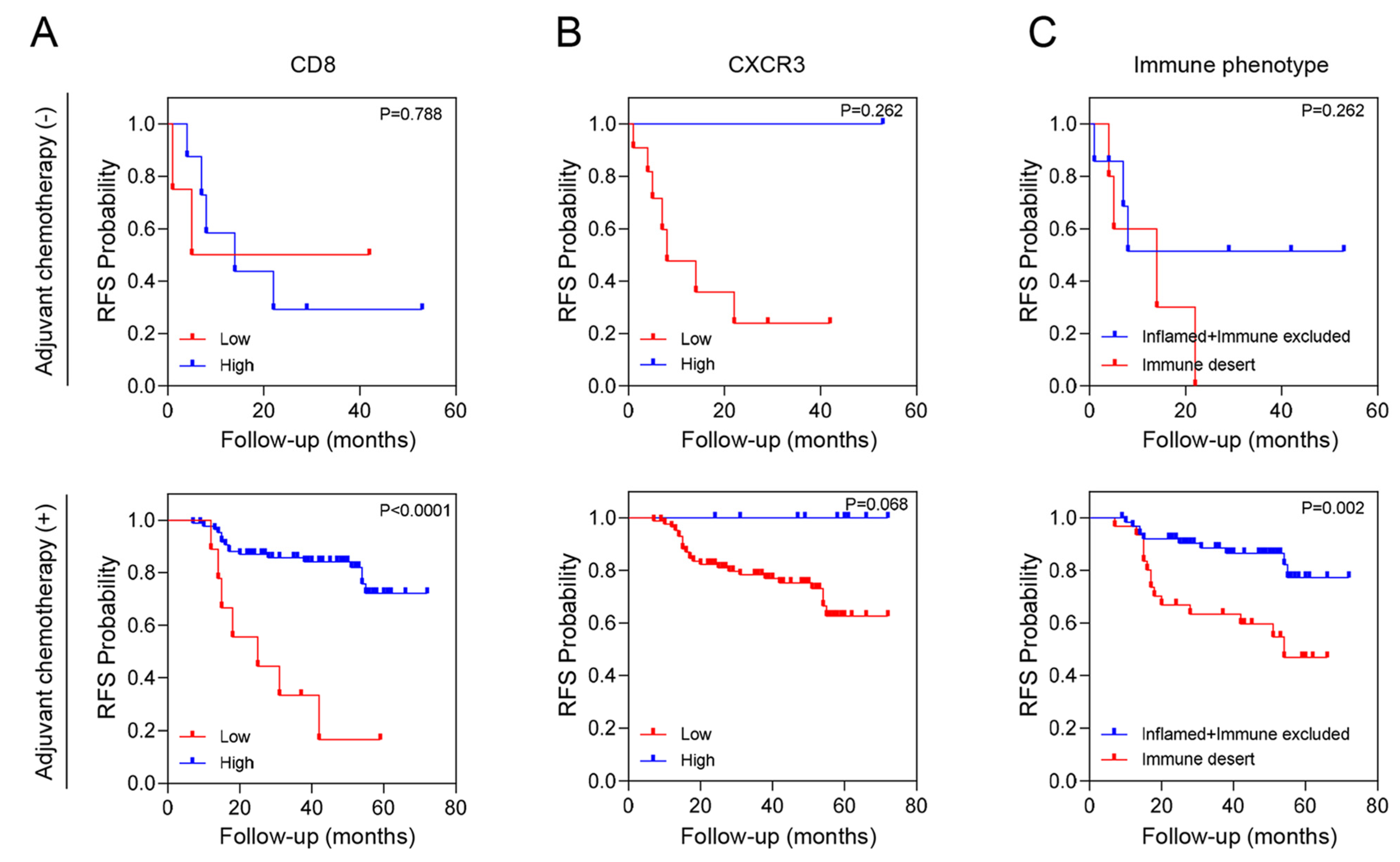 Cancers 16 03353 g003