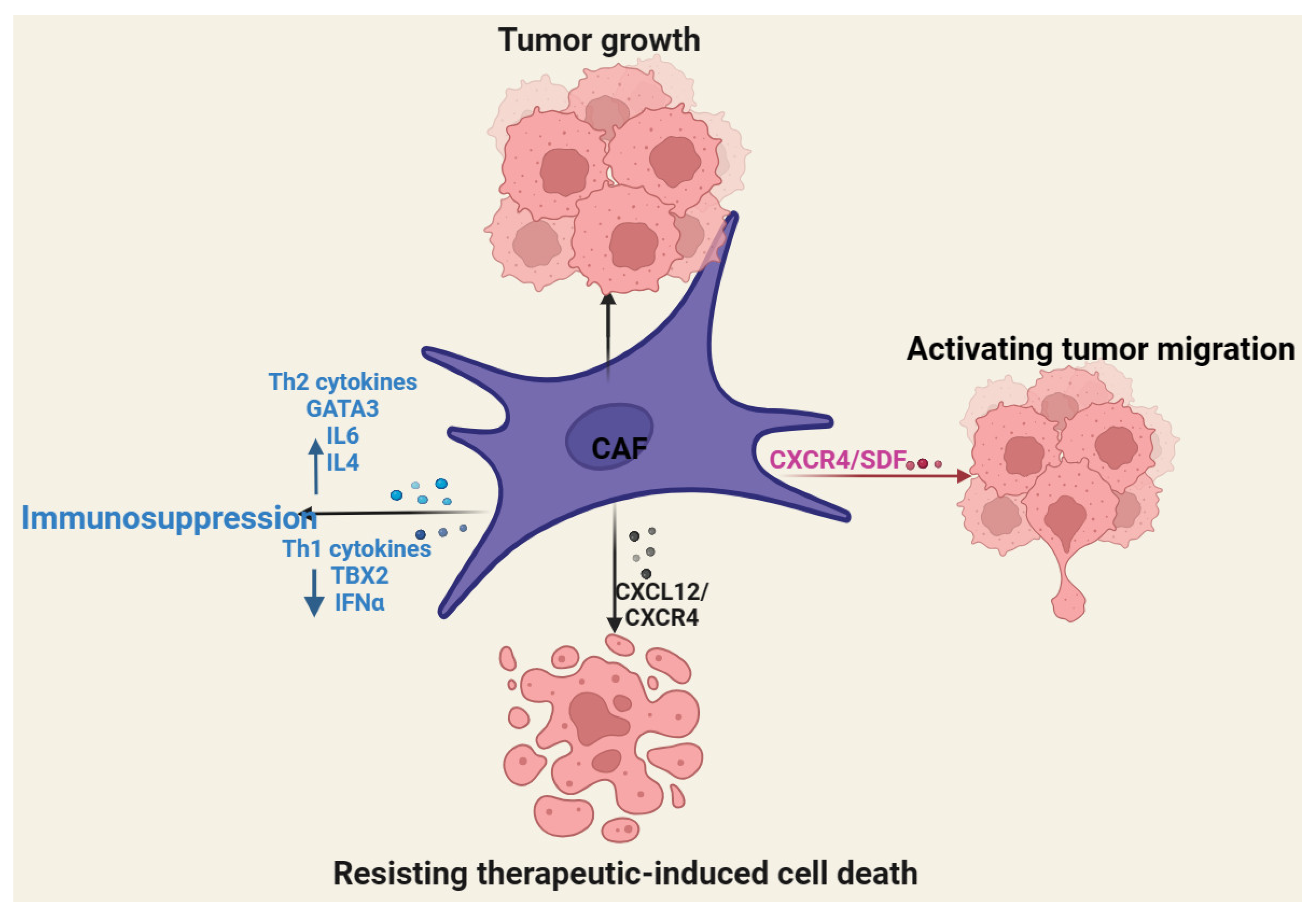 Cancers 16 03368 g002