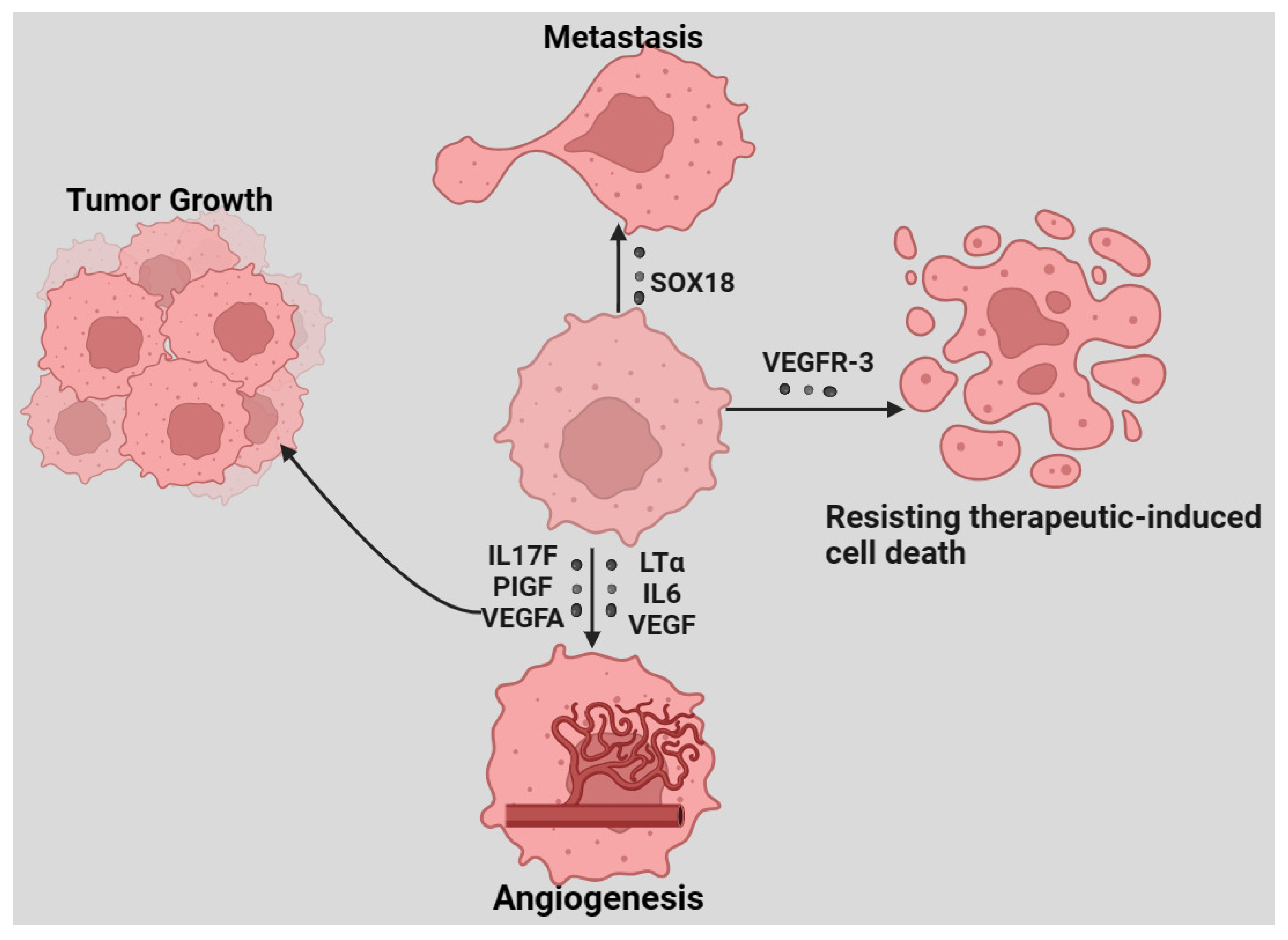 Cancers 16 03368 g003