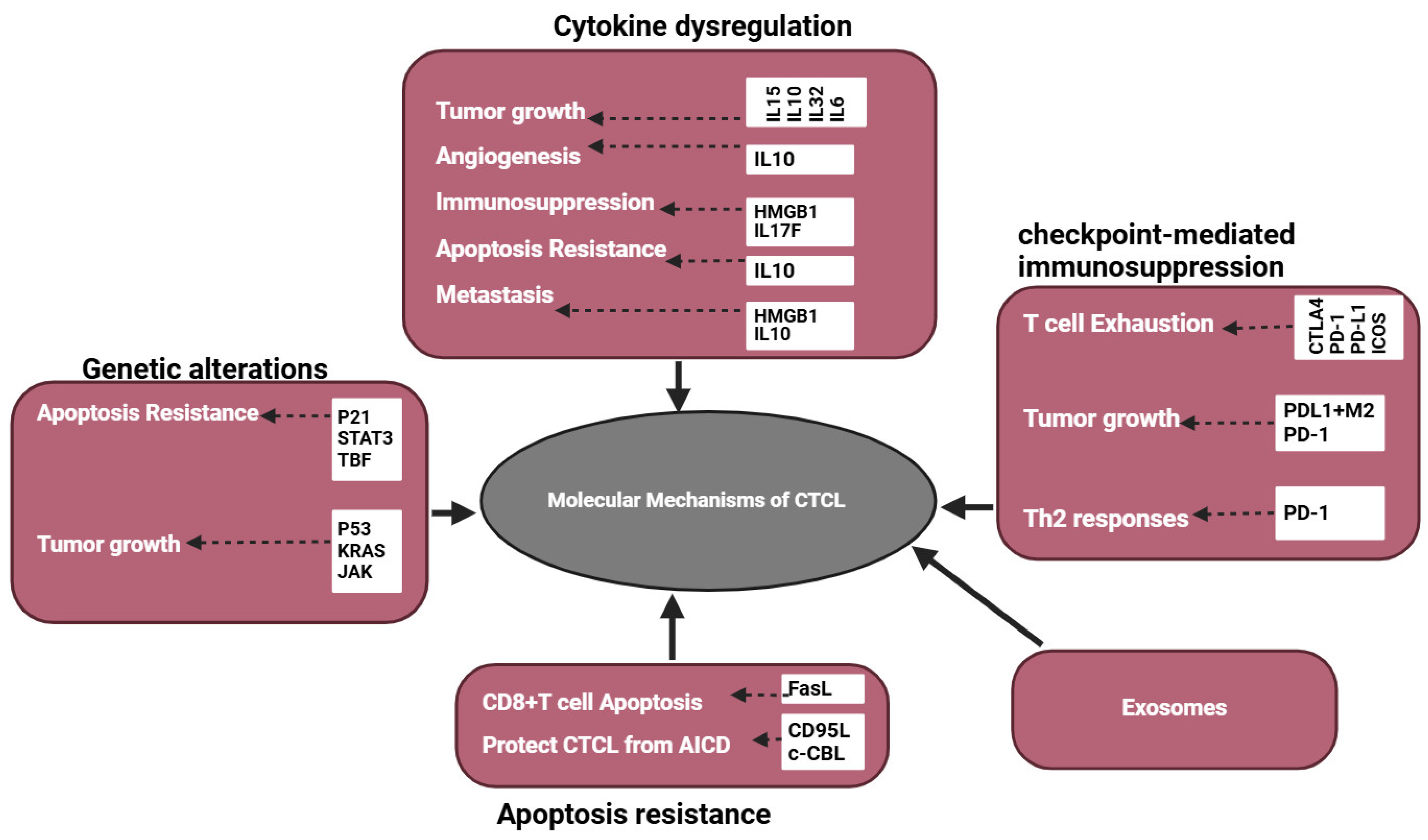 Cancers 16 03368 g004