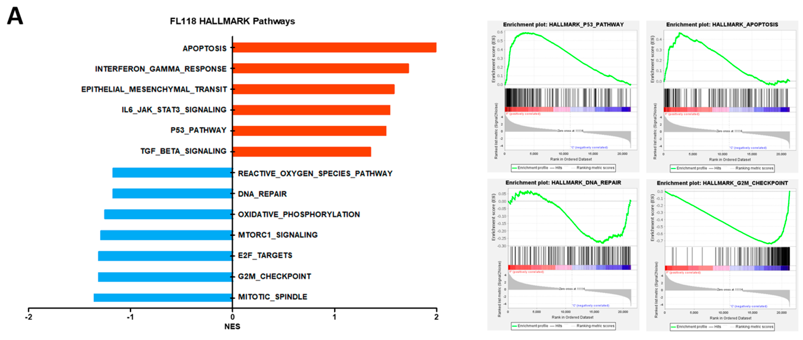 Cancers 16 03385 g001a