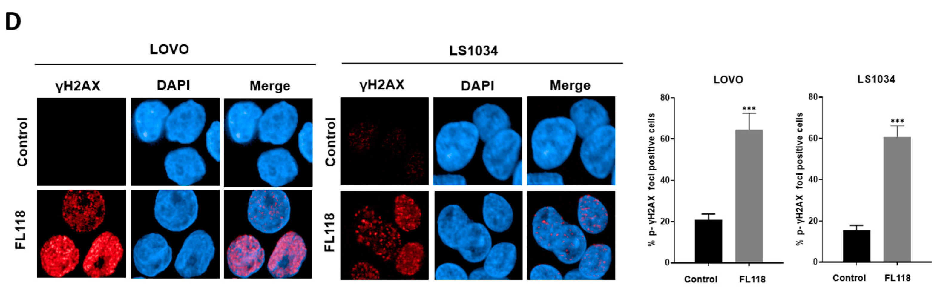 Cancers 16 03385 g002b