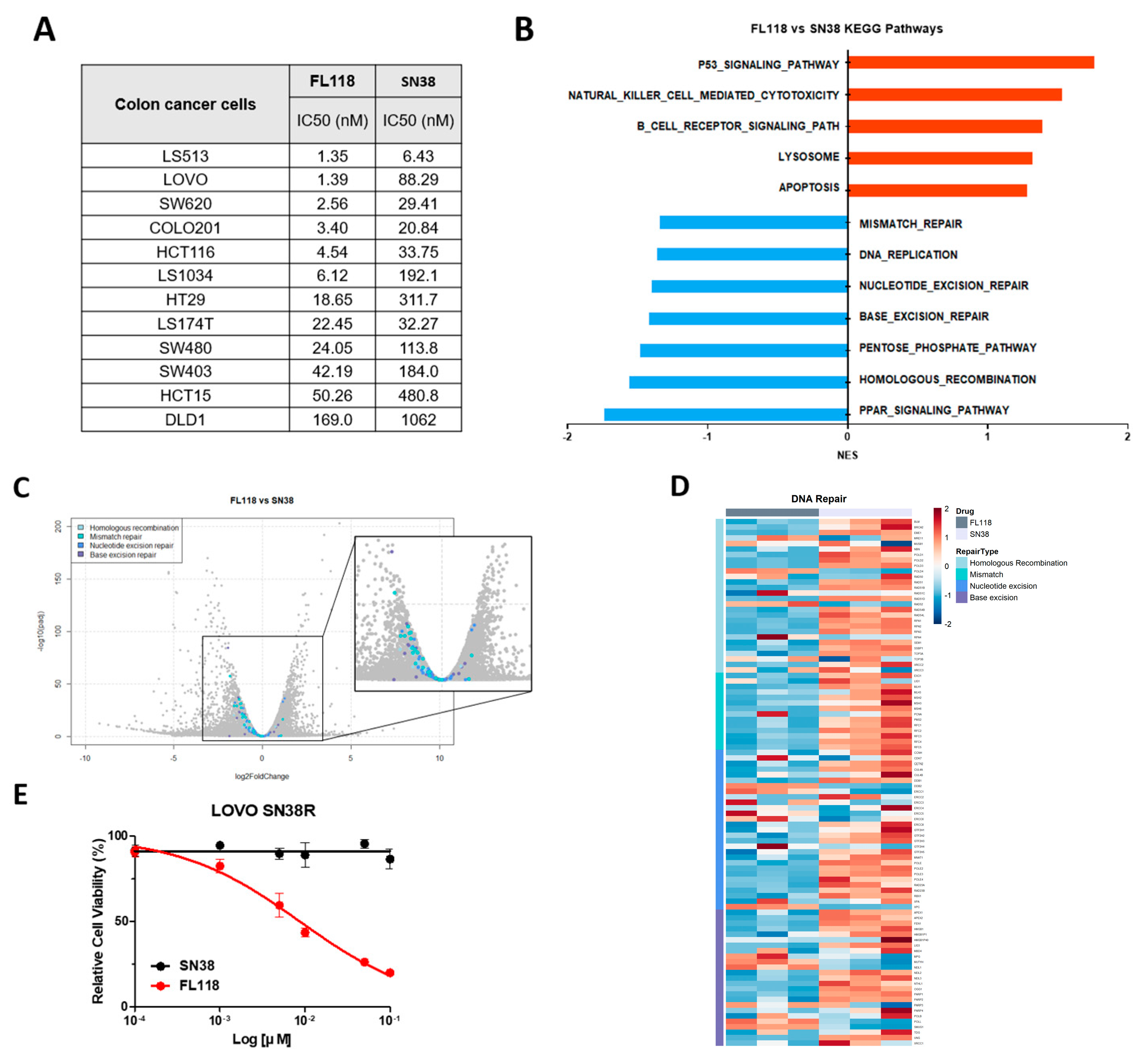 Cancers 16 03385 g005a