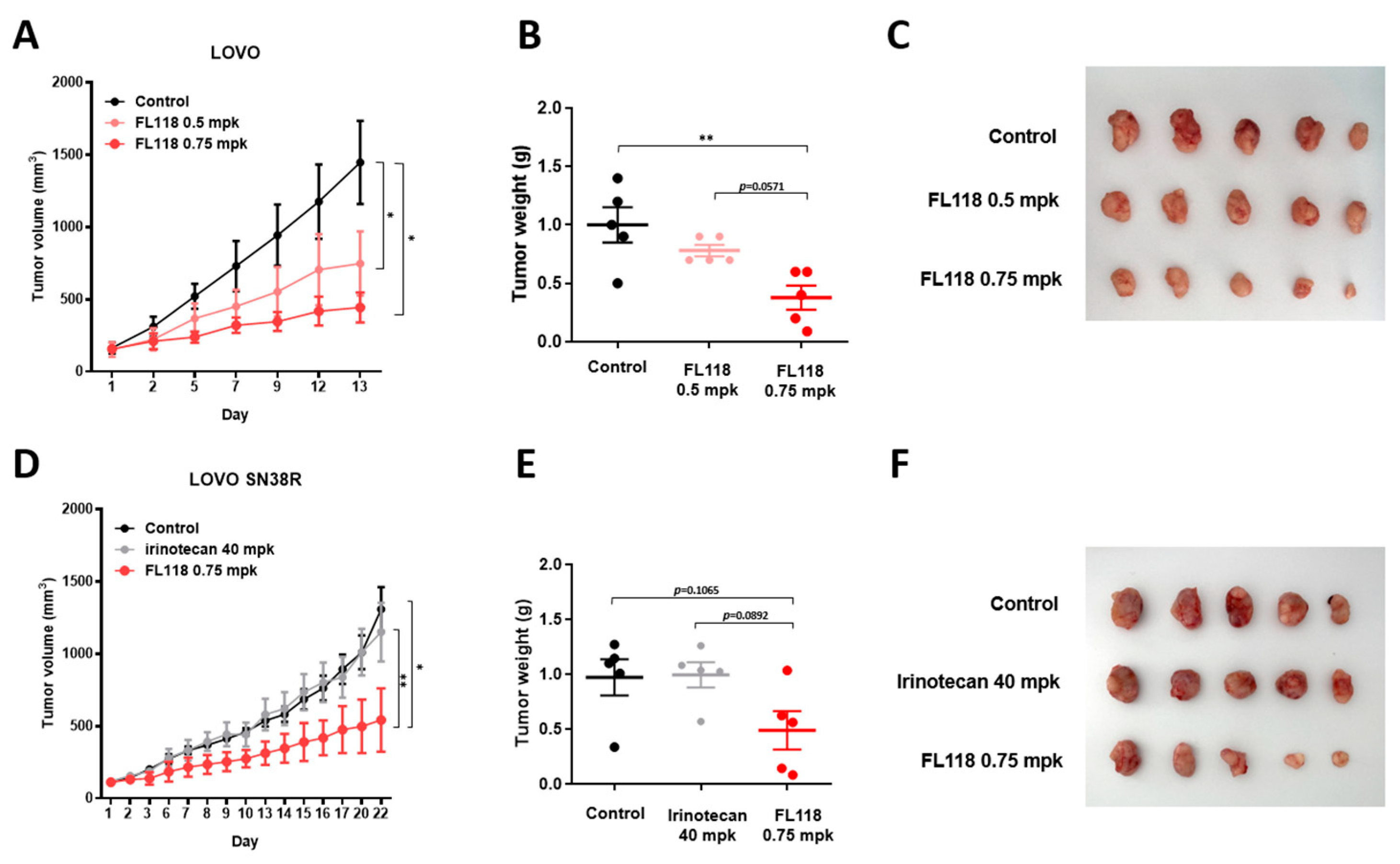 Cancers 16 03385 g006