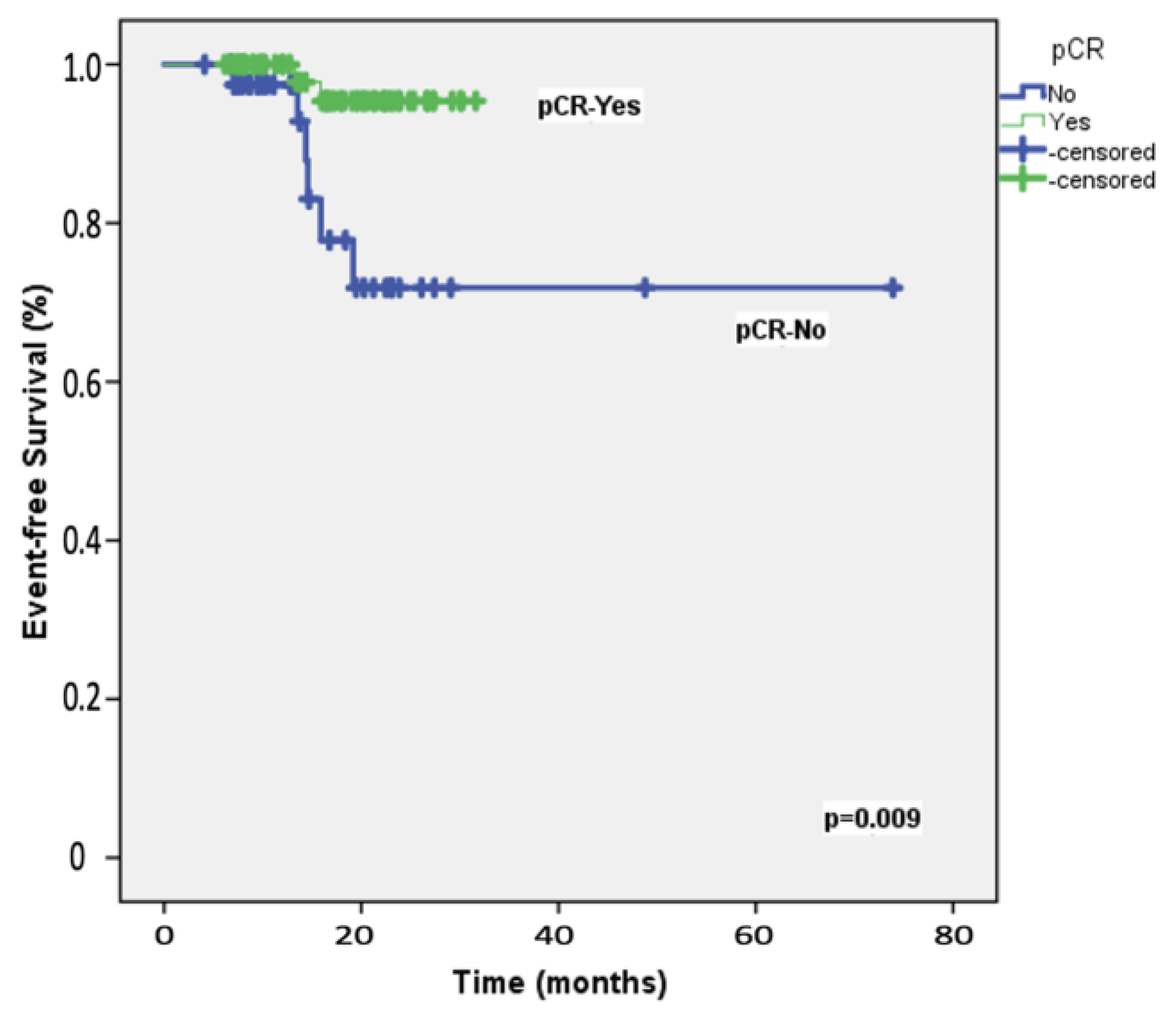 Cancers 16 03389 g001