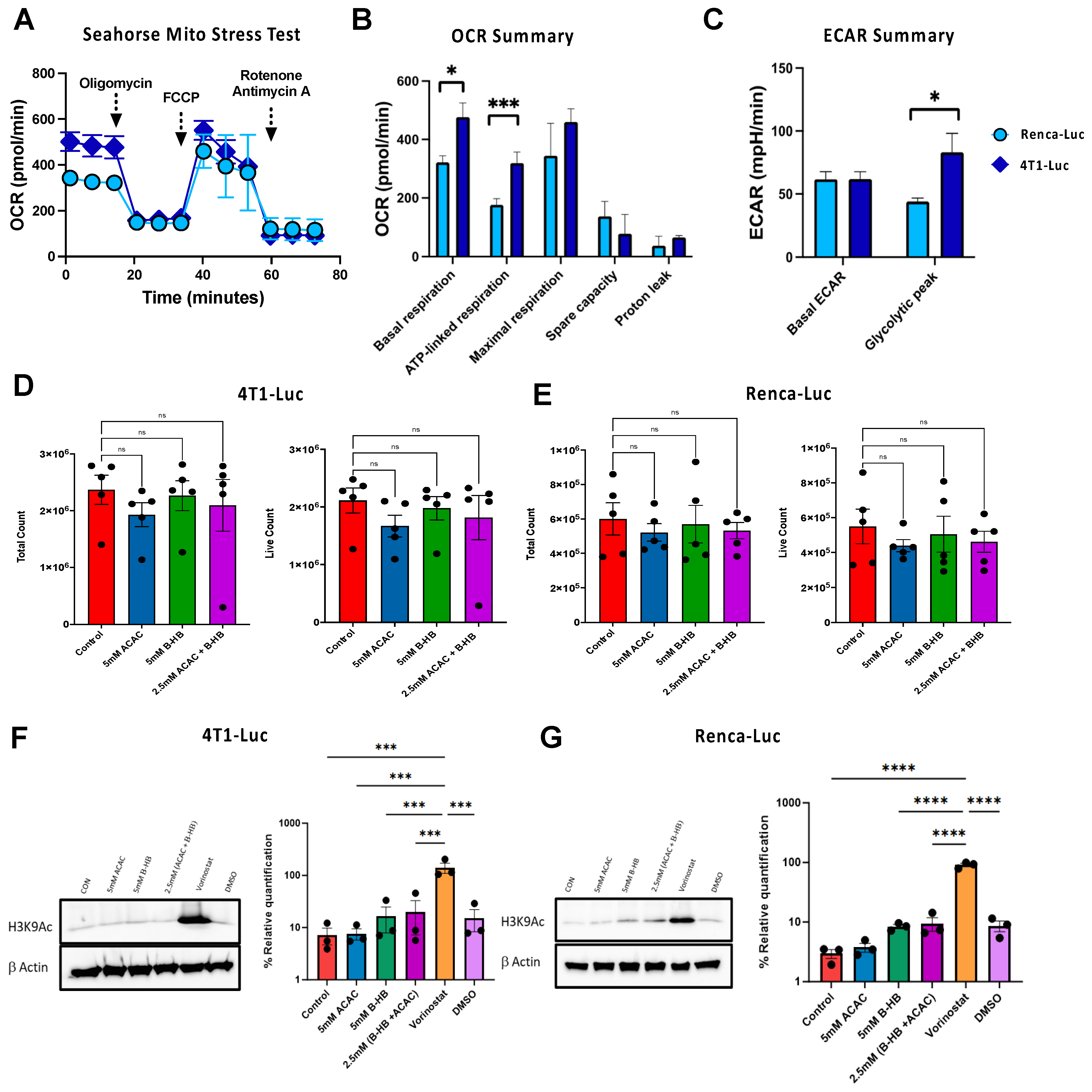 Cancers 16 03390 g001