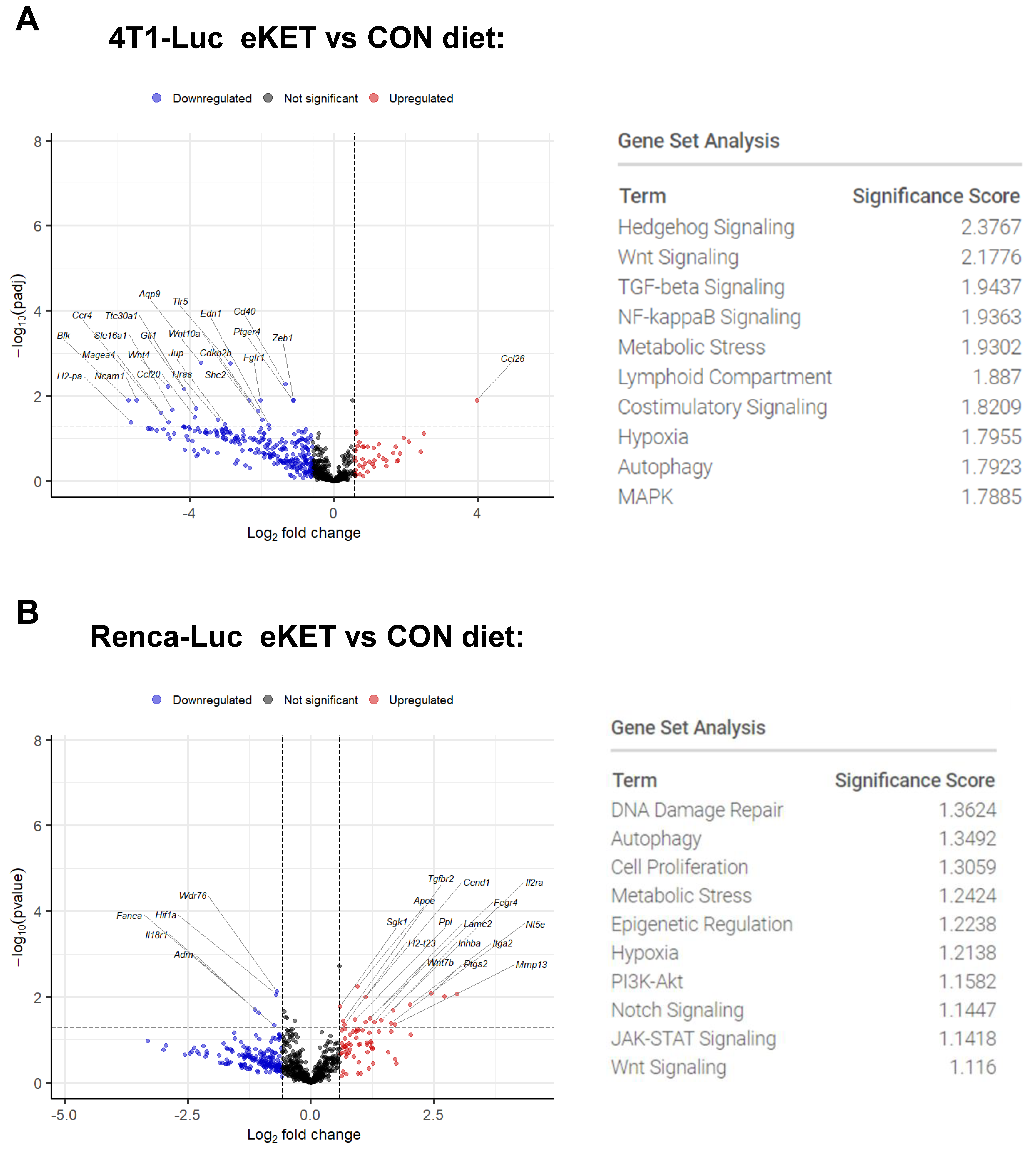 Cancers 16 03390 g005
