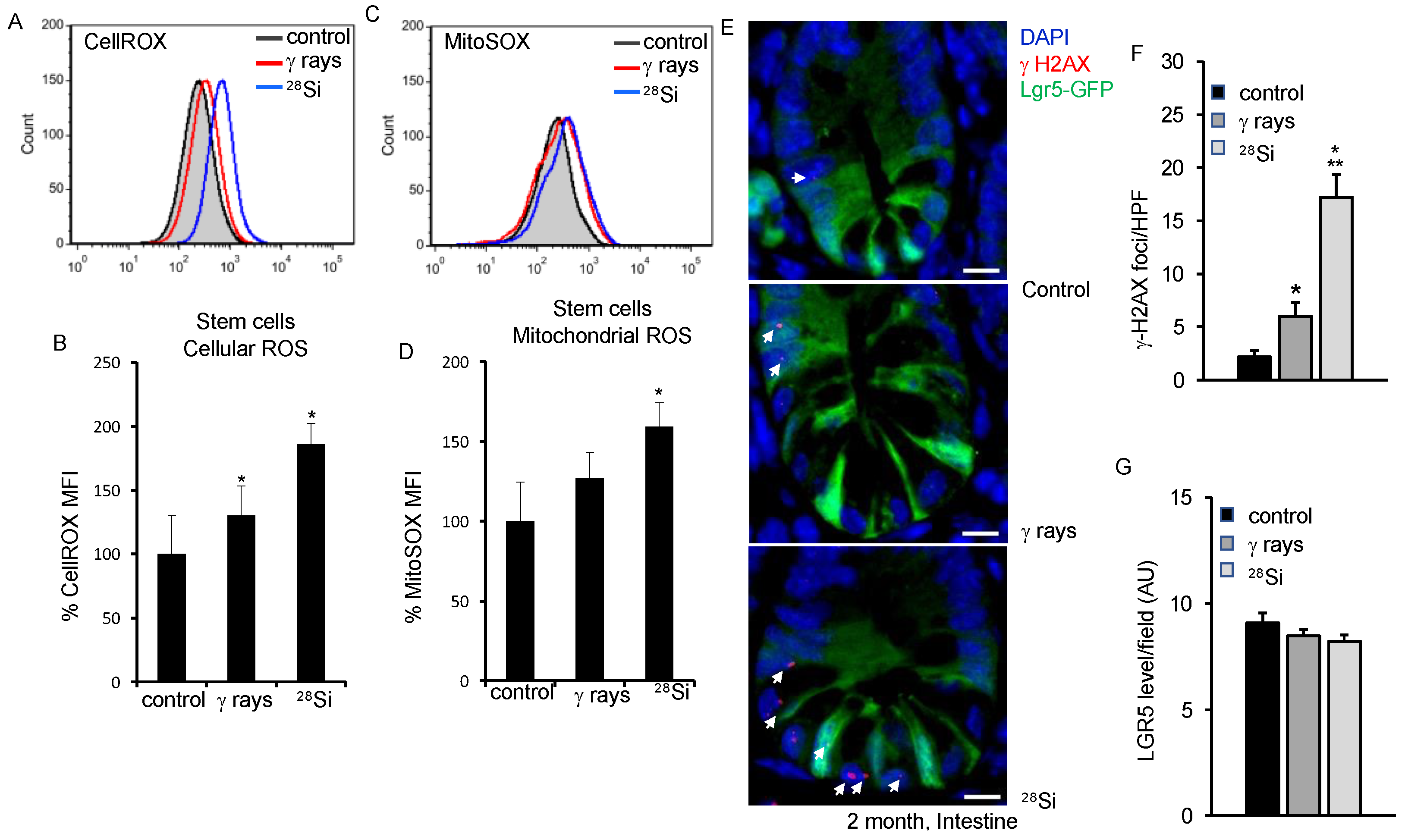 Cancers 16 03392 g001