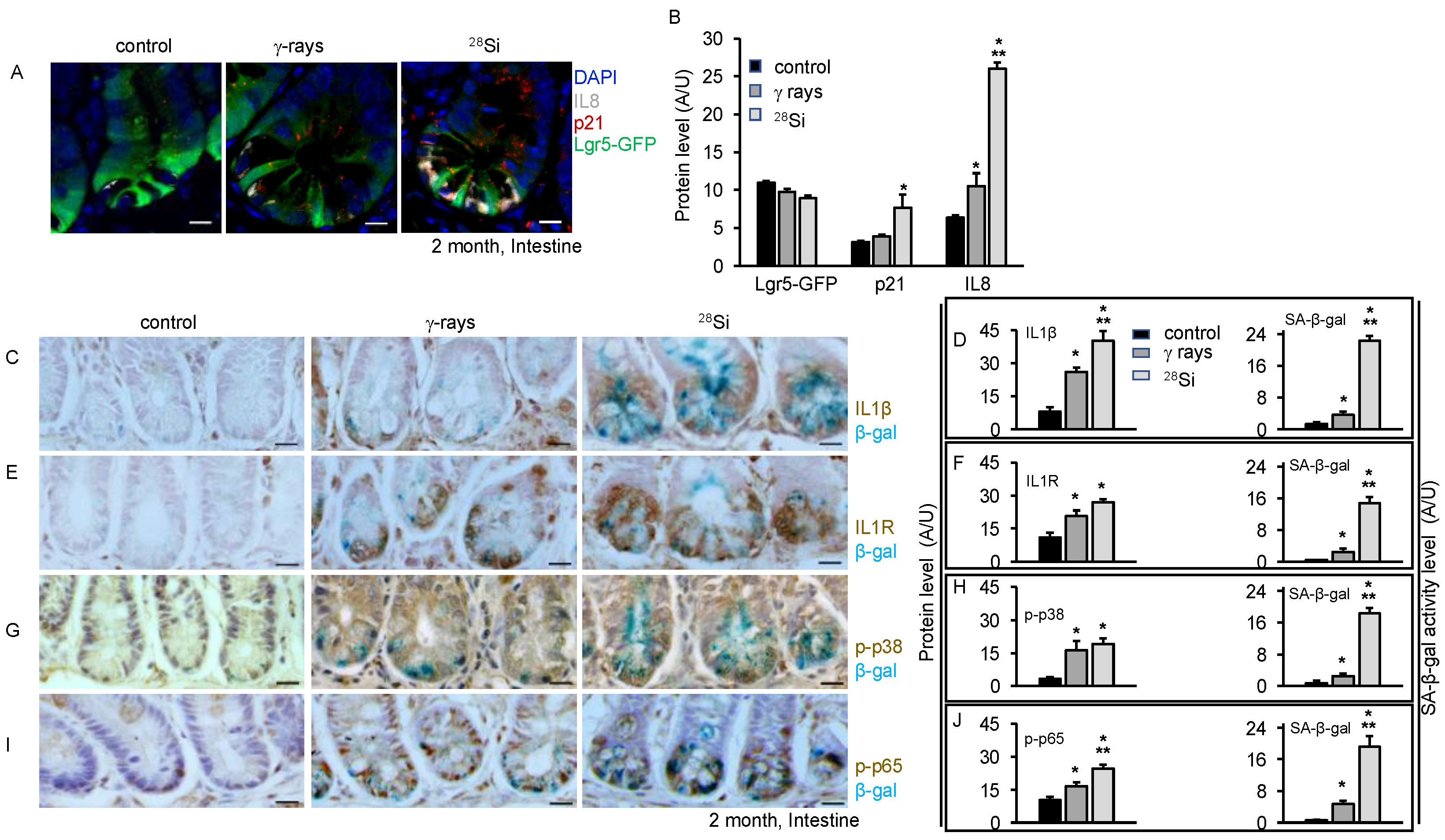 Cancers 16 03392 g003