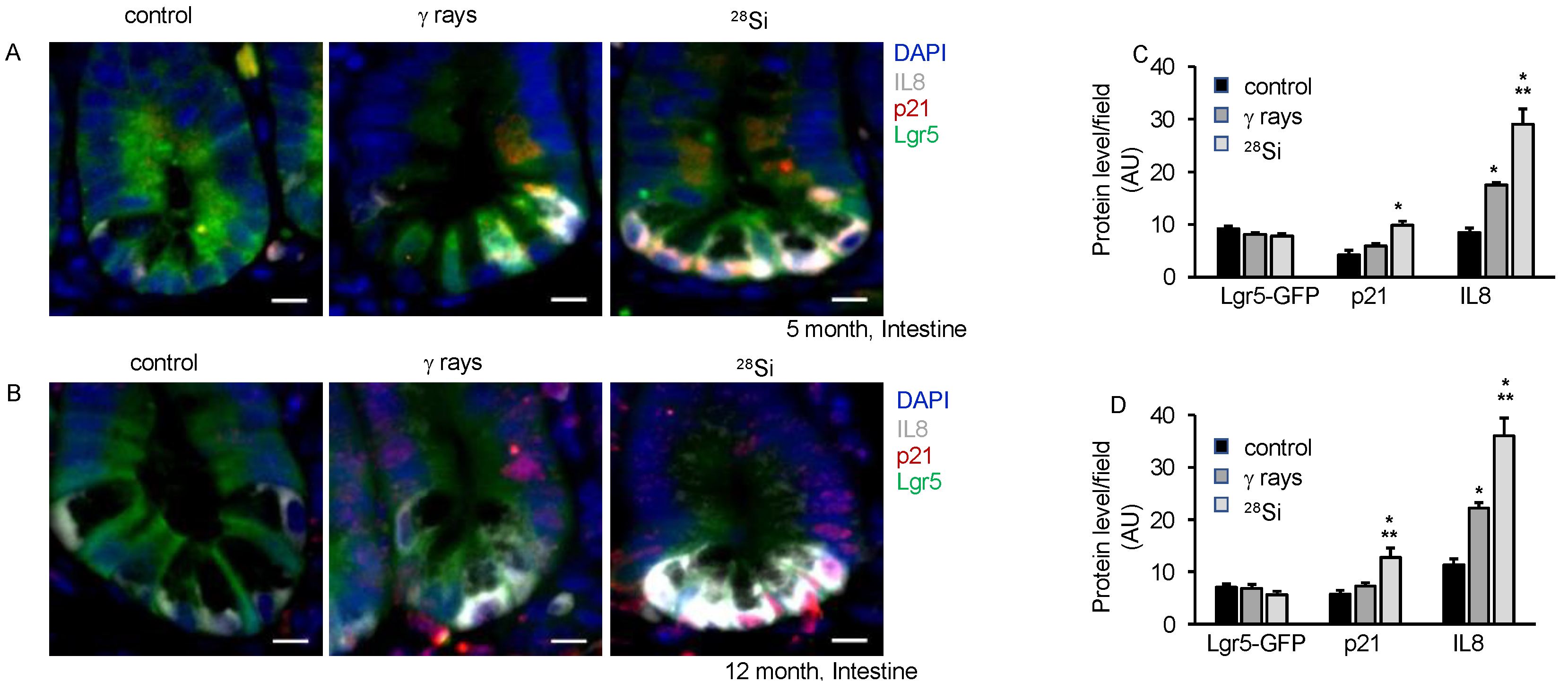 Cancers 16 03392 g005