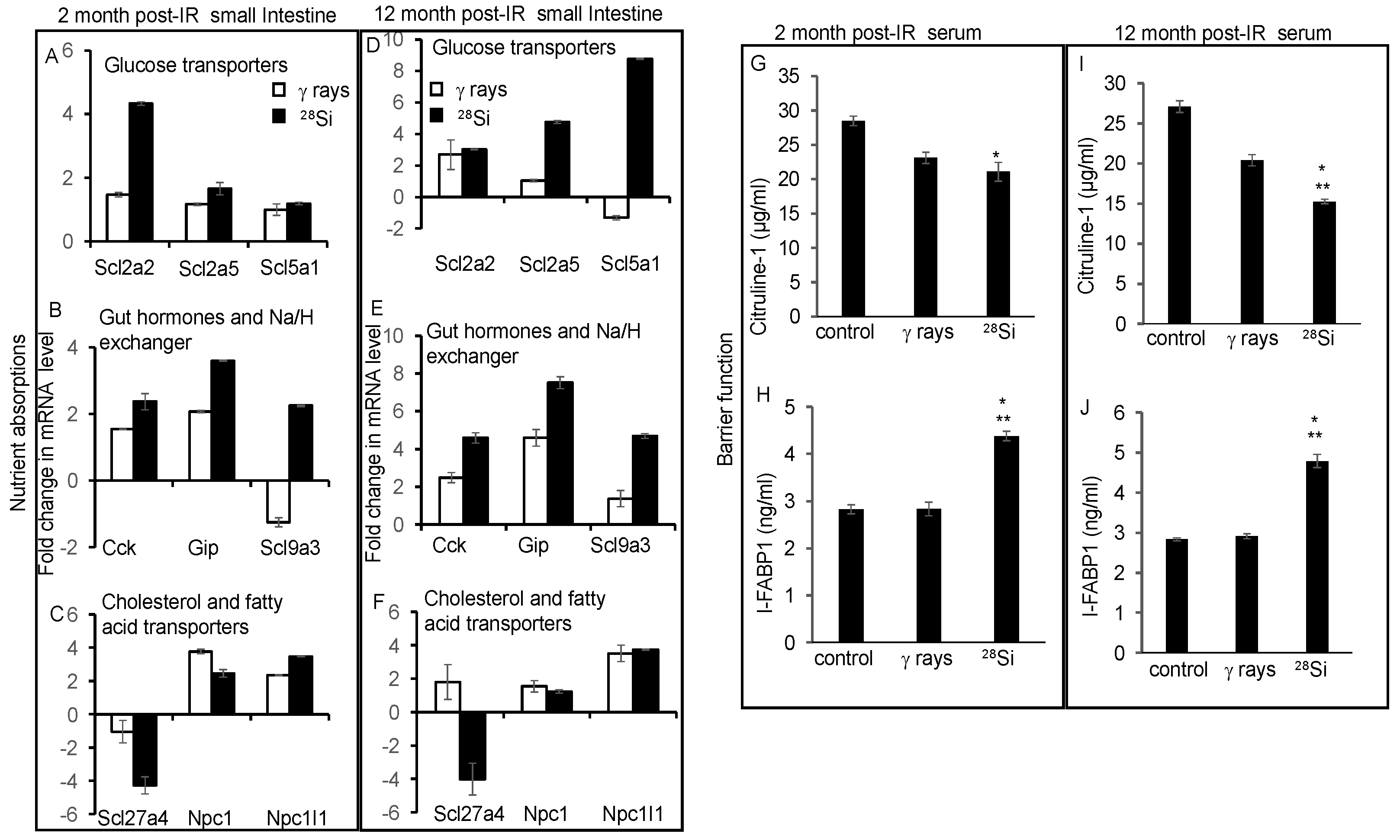Cancers 16 03392 g006