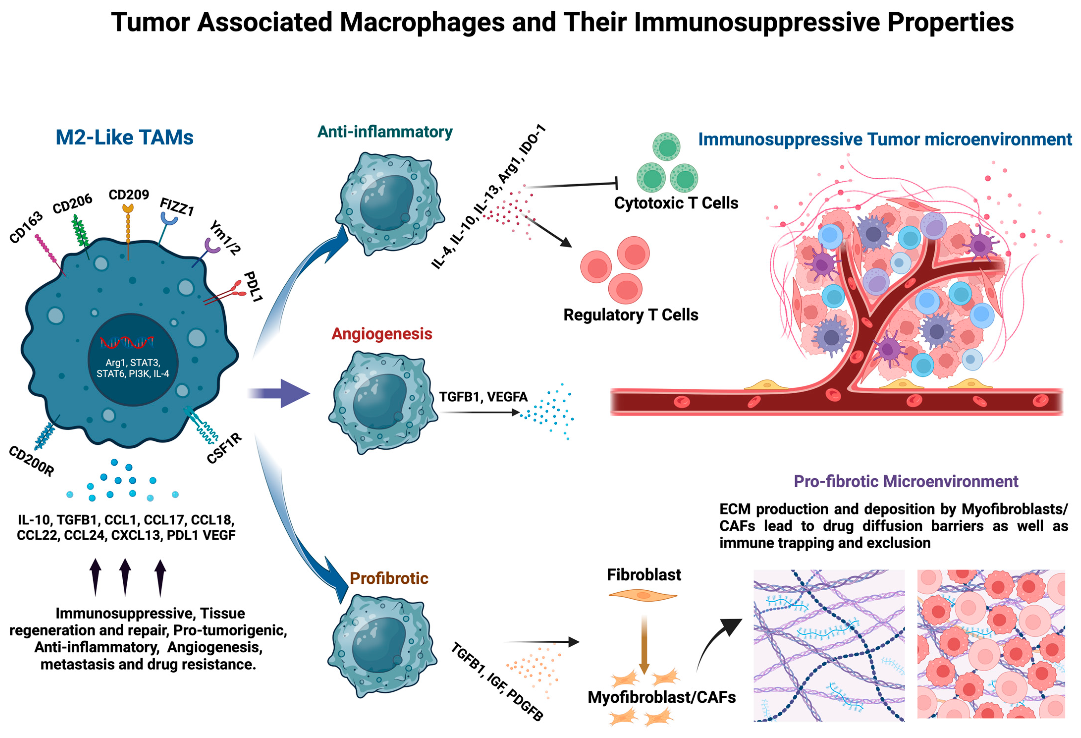 Cancers 16 03410 g002