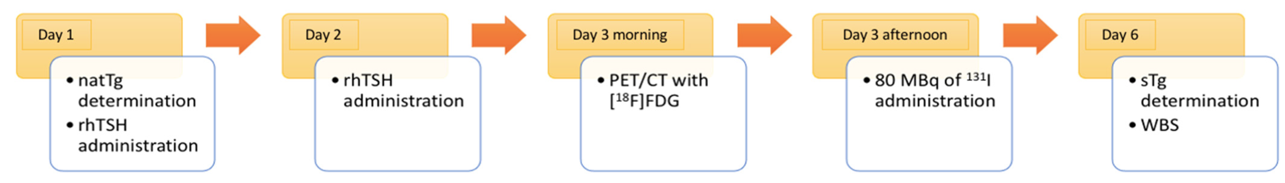 Cancers 16 03413 g001