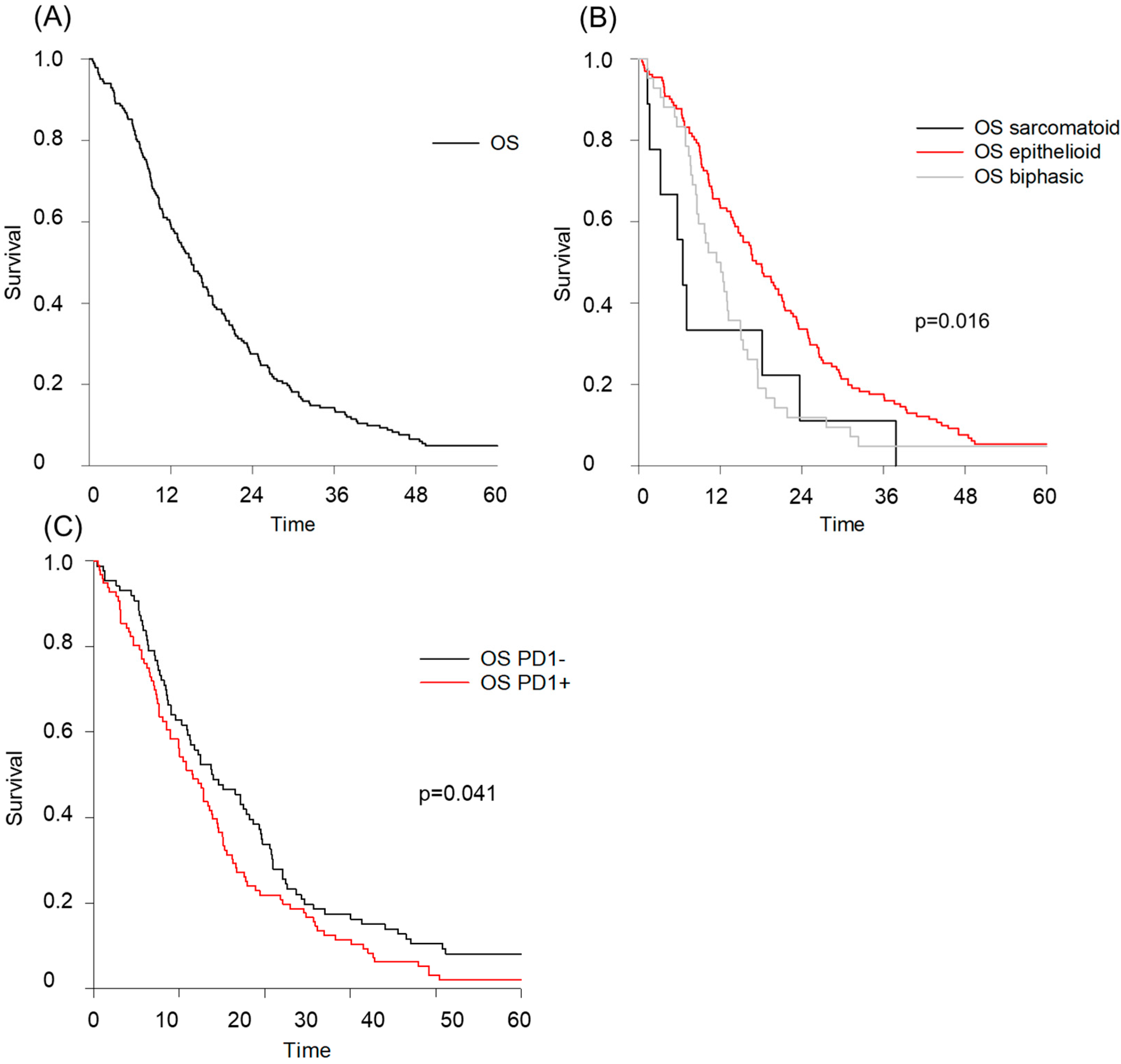 Cancers 16 03418 g001