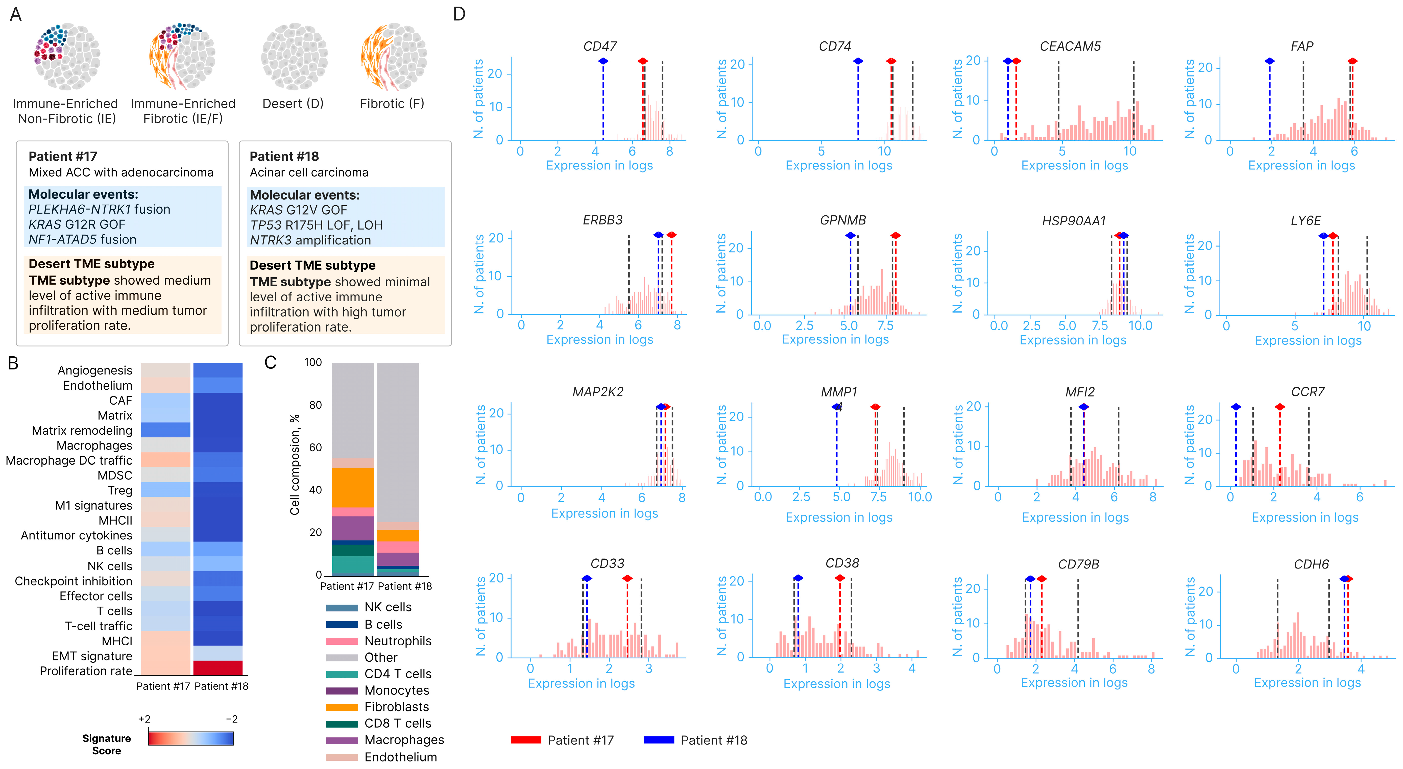 Cancers 16 03421 g004