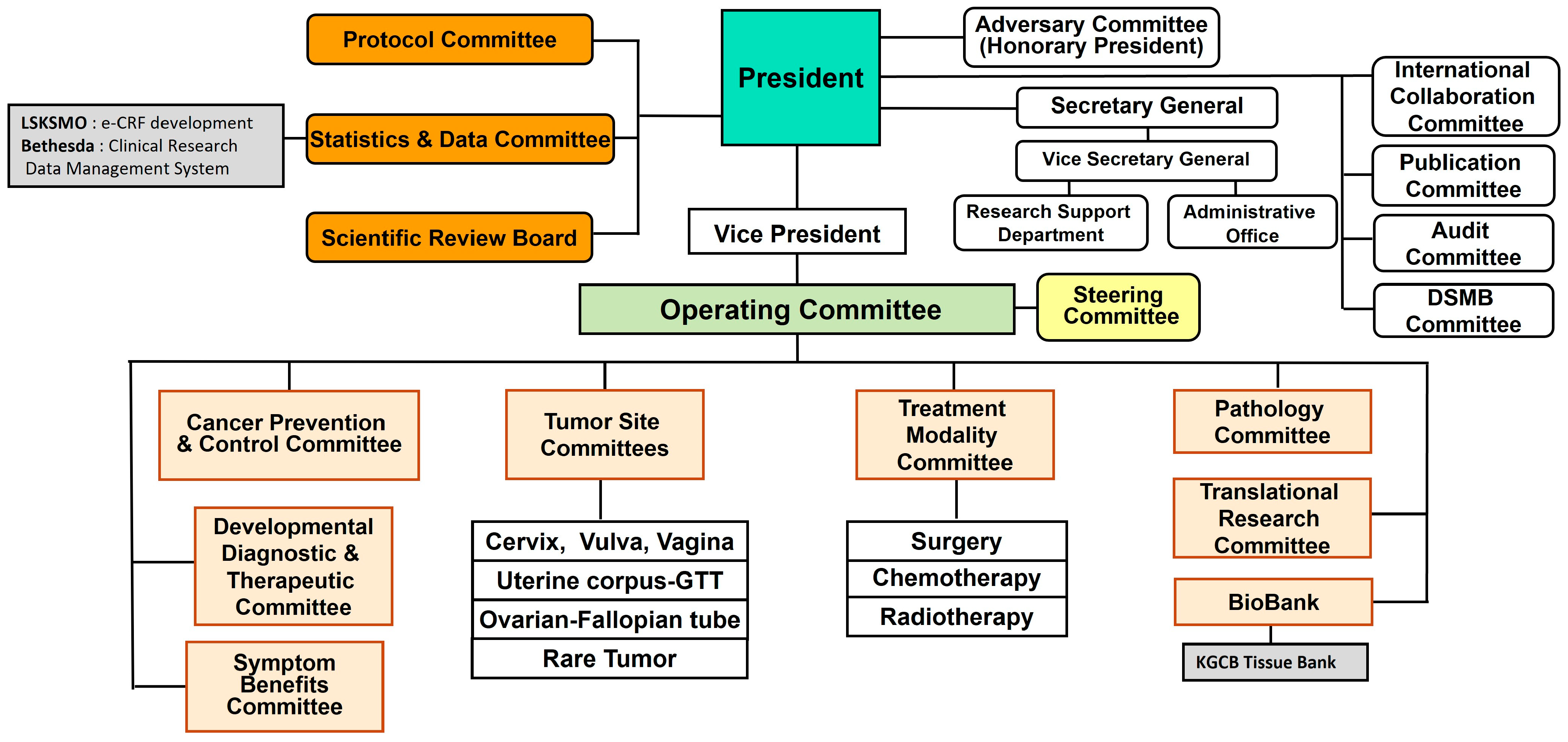 Cancers 16 03422 g001 Cancers 16 03422 g001