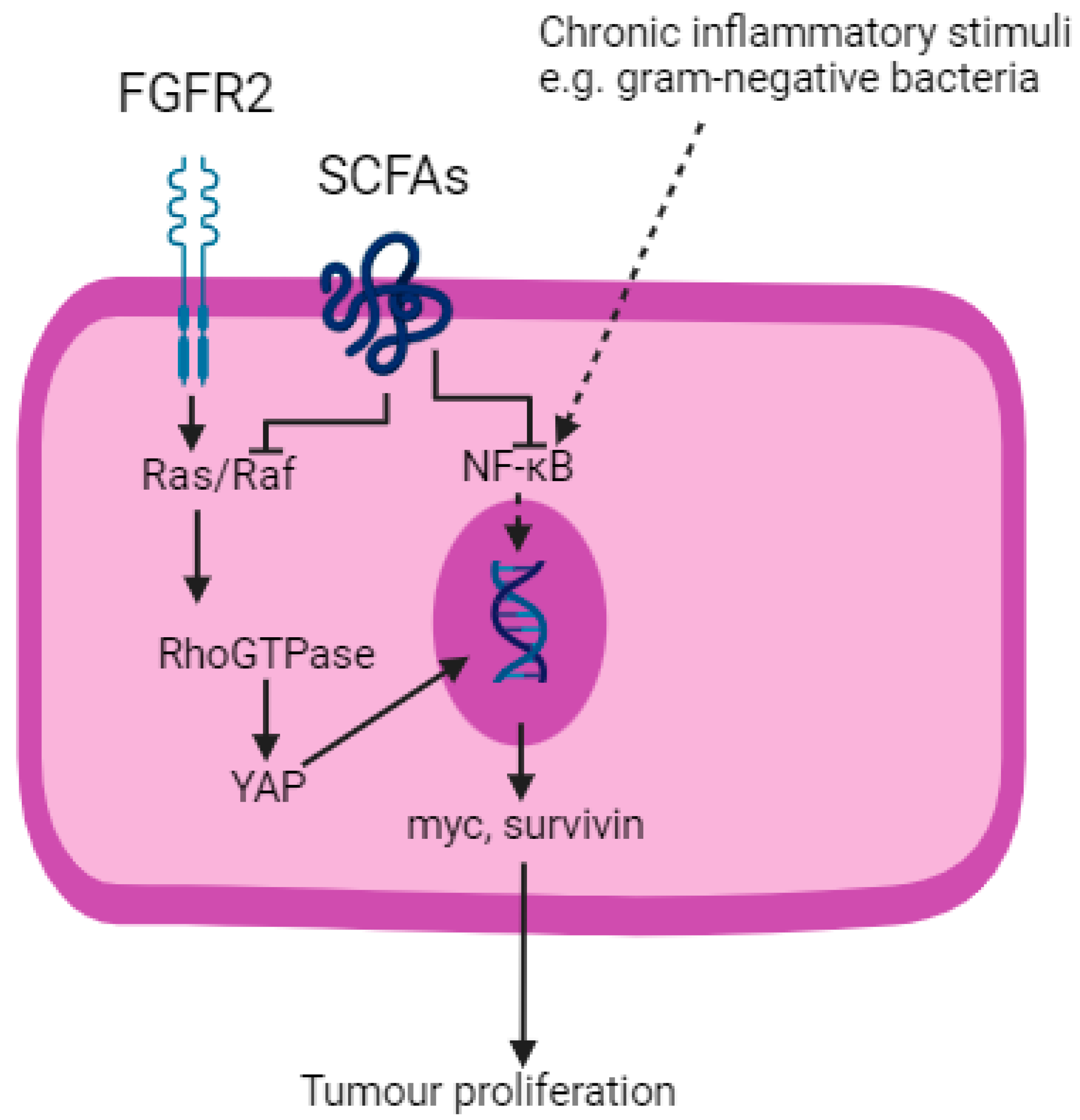 Cancers 16 03426 g004