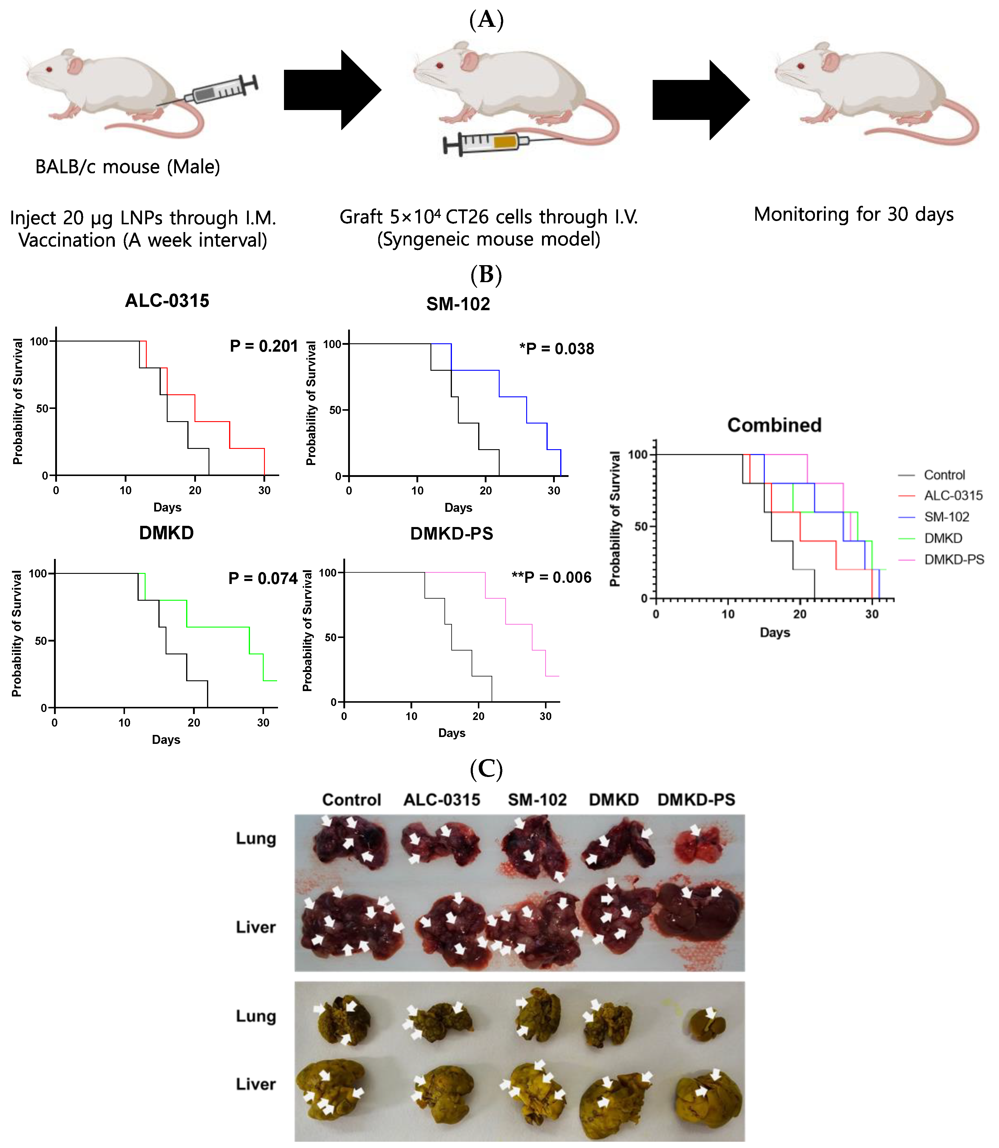 Cancers 16 03428 g005