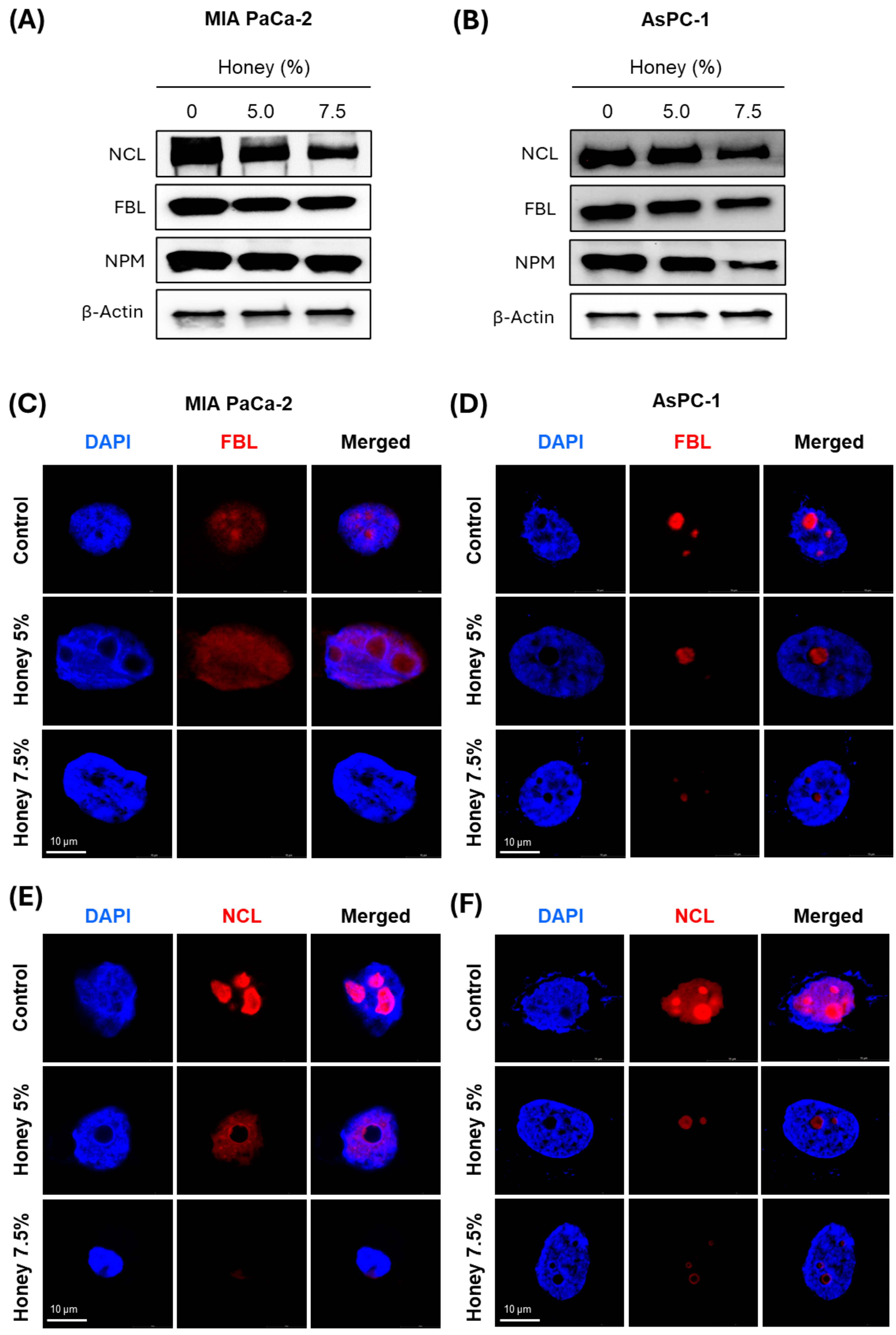 Cancers 16 03431 g005