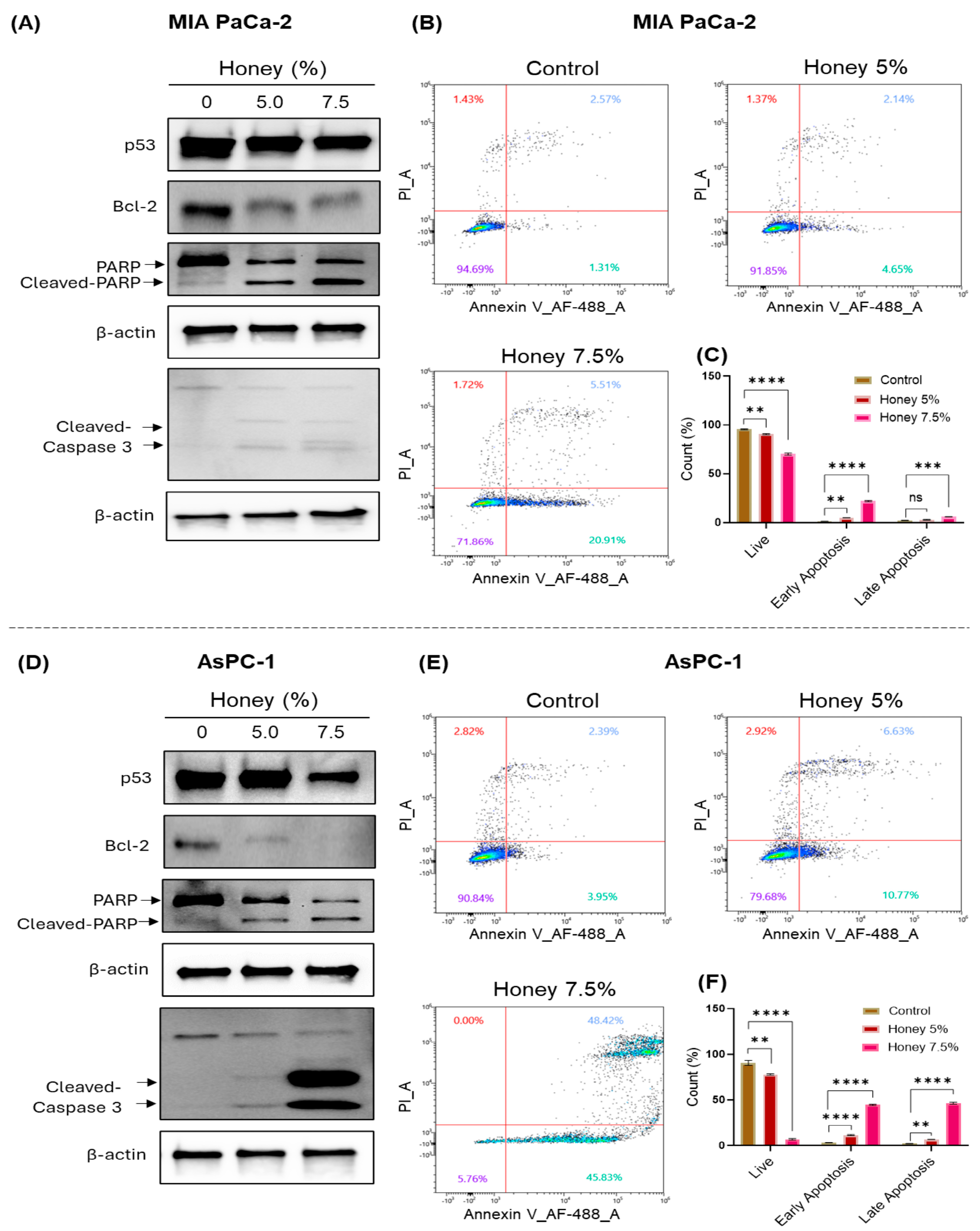 Cancers 16 03431 g006