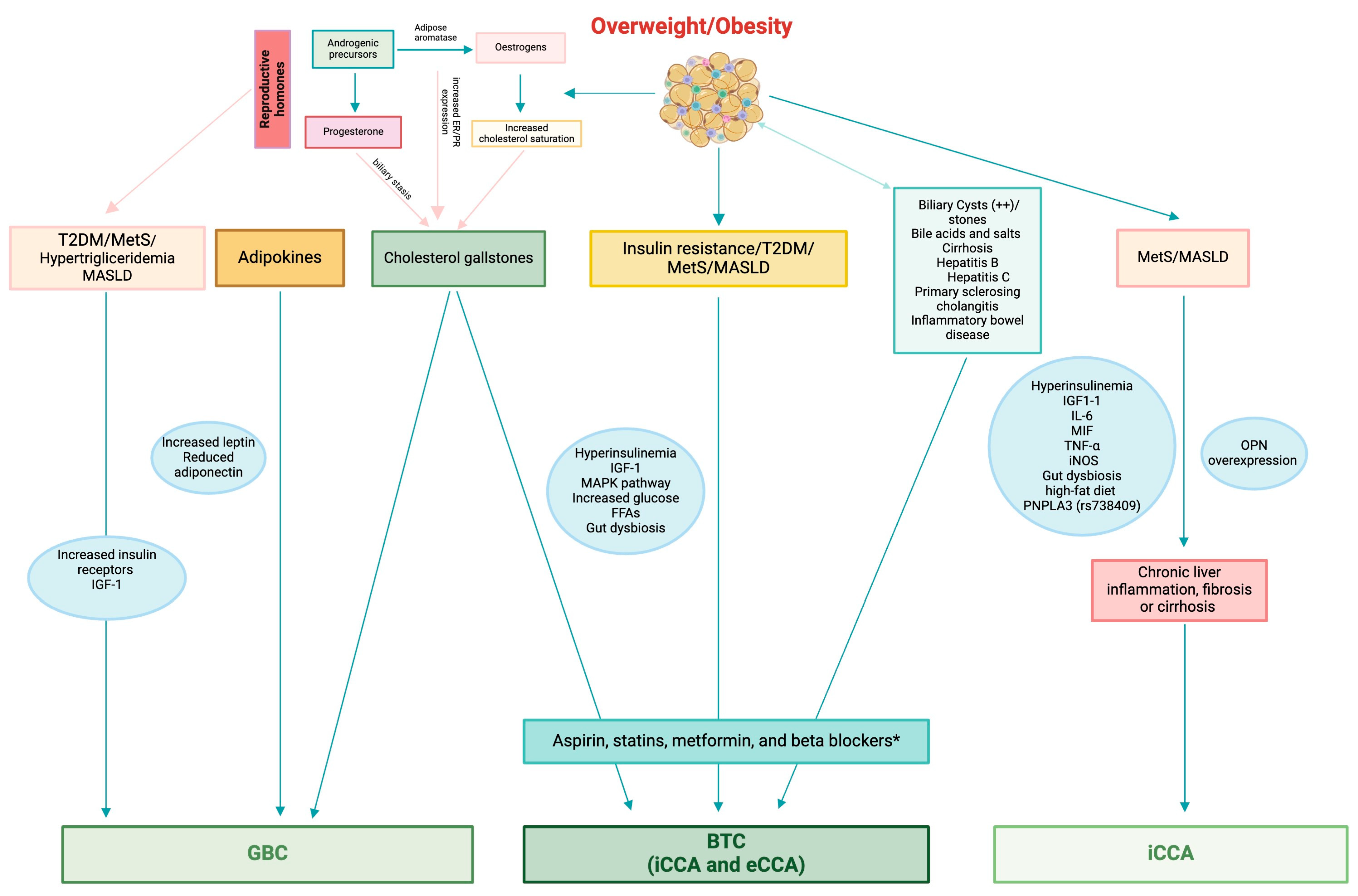 Cancers 16 03432 g002 Cancers 16 03432 g002
