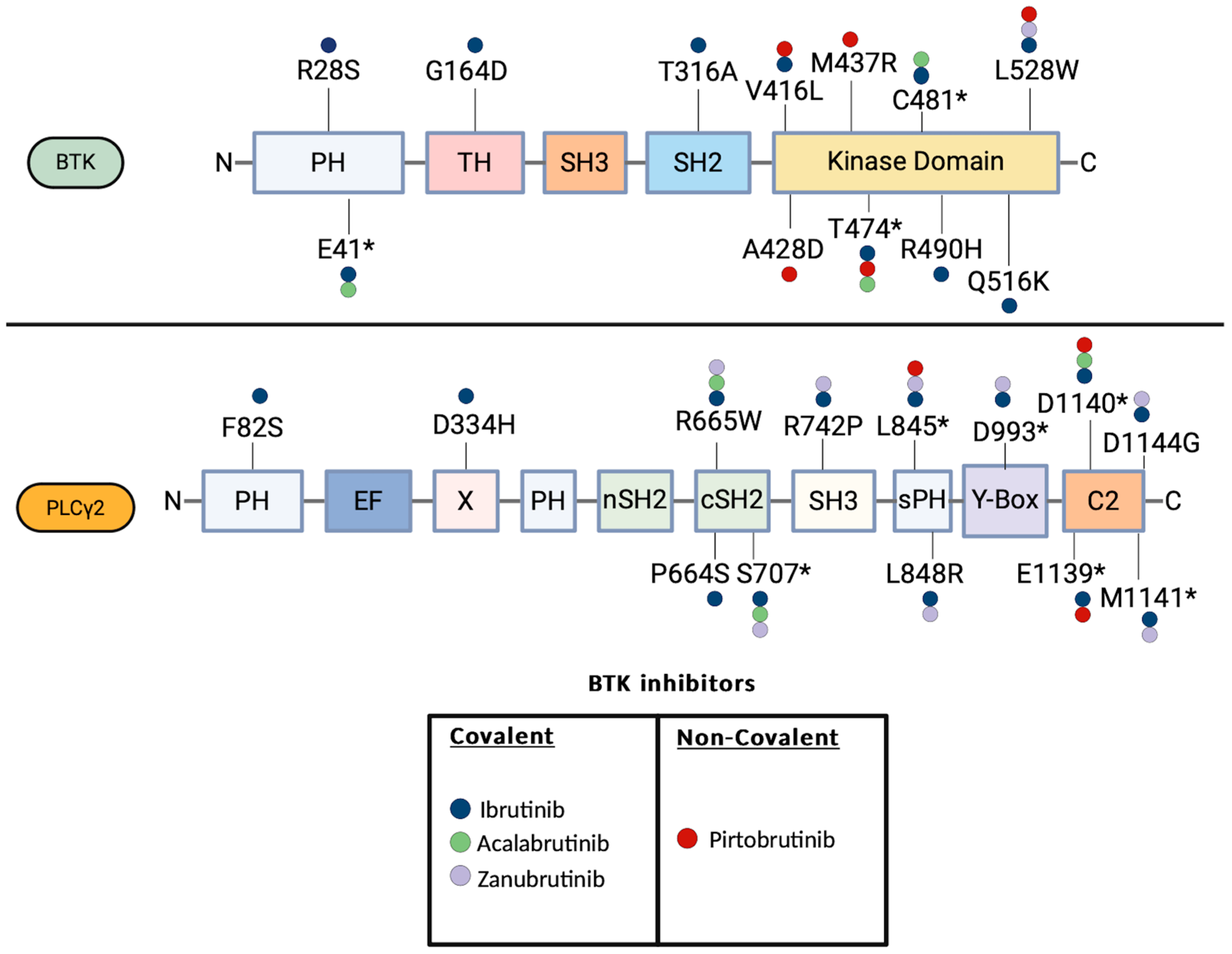 Cancers 16 03434 g002 Cancers 16 03434 g002