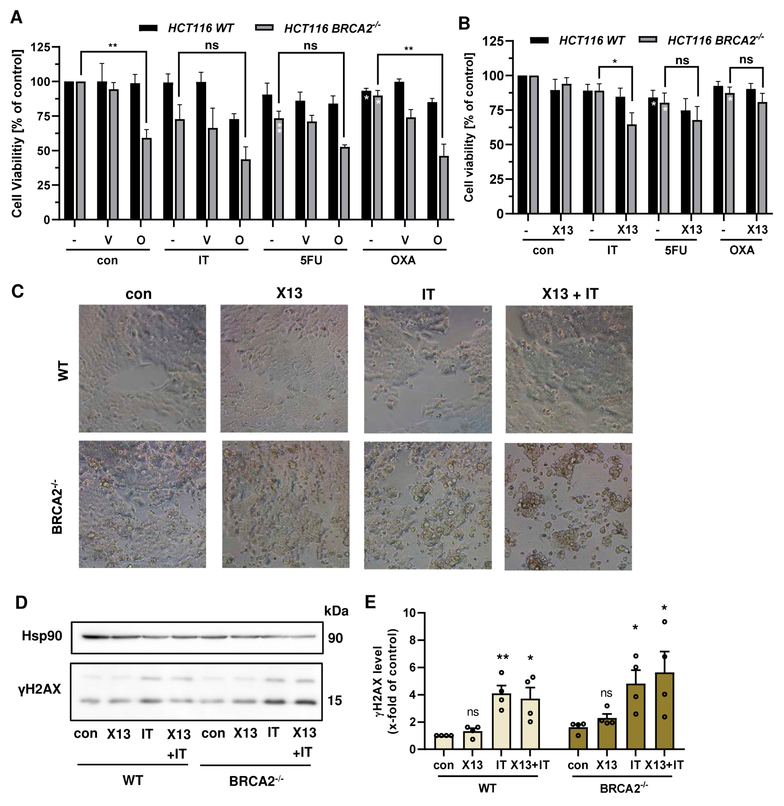 Cancers 16 03441 g006