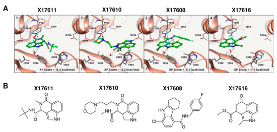Cancers 16 03441 g0a1