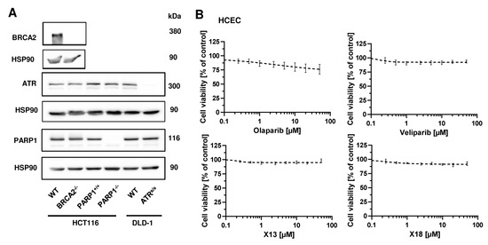 Cancers 16 03441 g0a4