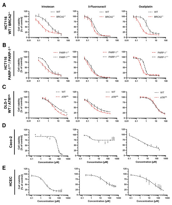 Cancers 16 03441 g0a5