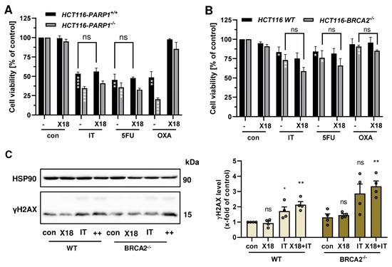 Cancers 16 03441 g0a6