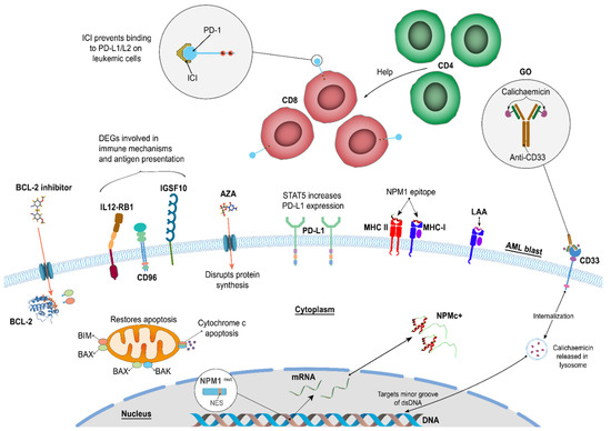 Cancers 16 03443 g002