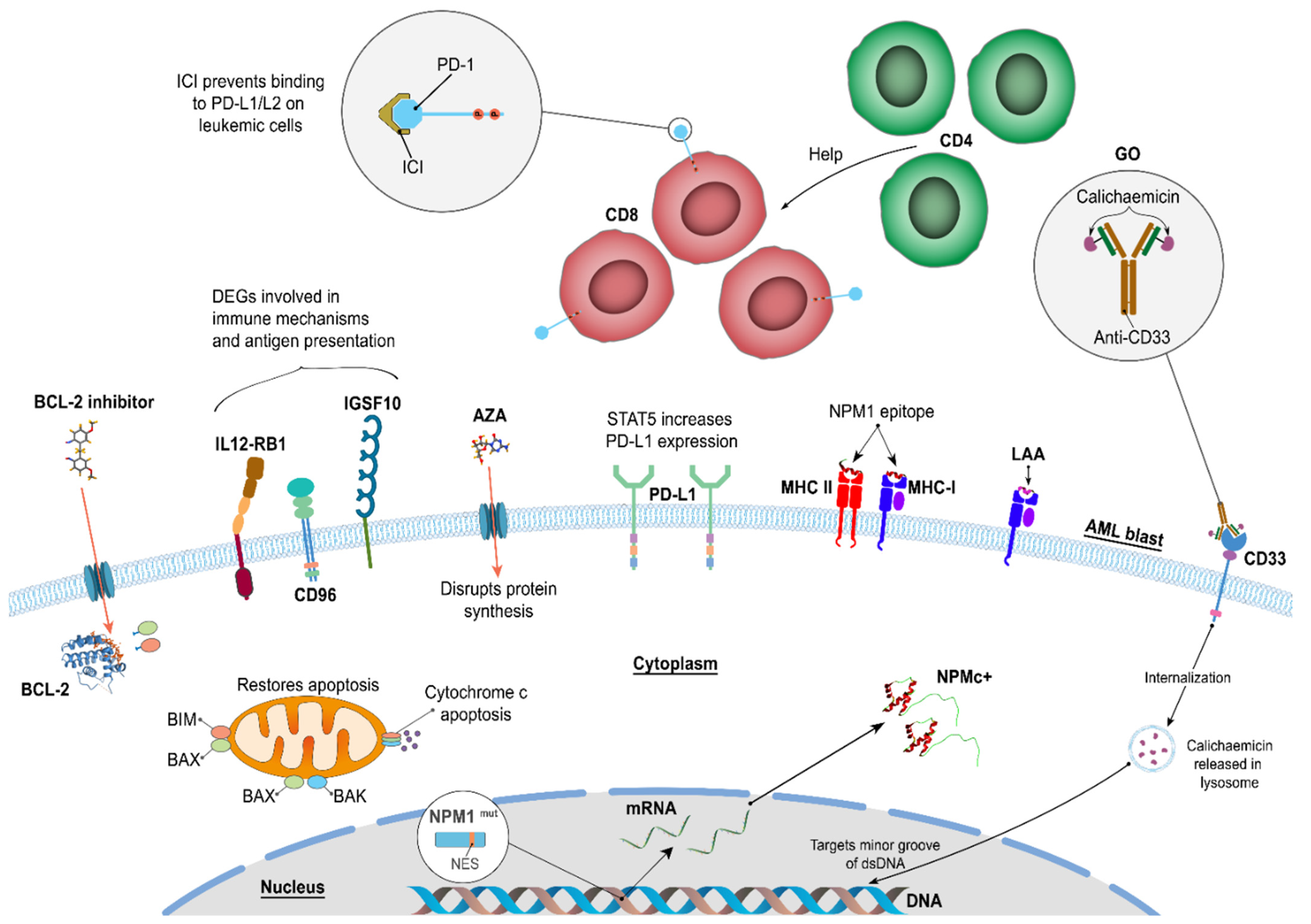 Cancers 16 03443 g002