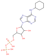 Cancers 16 03470 i008