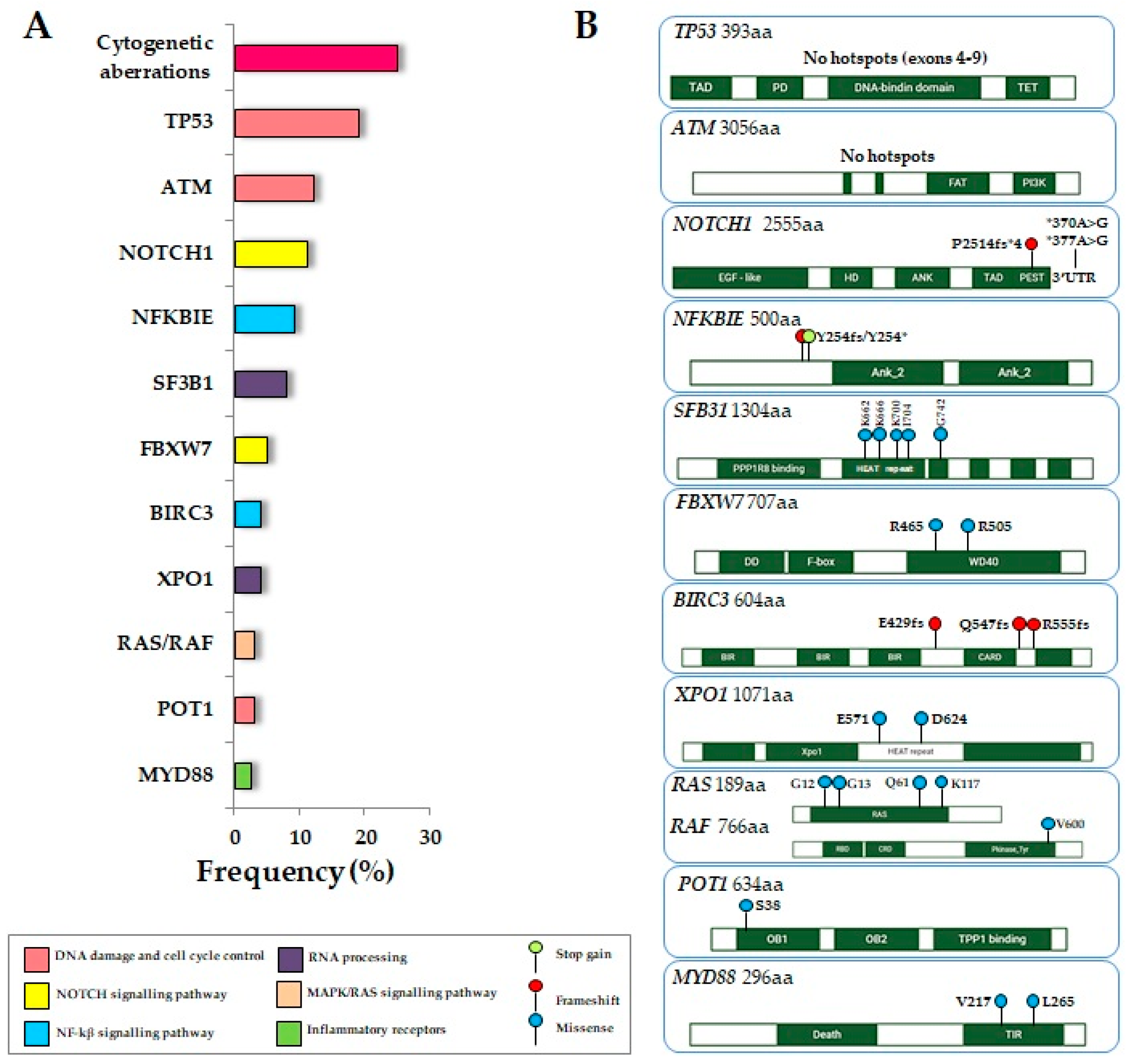 Cancers 16 03483 g002