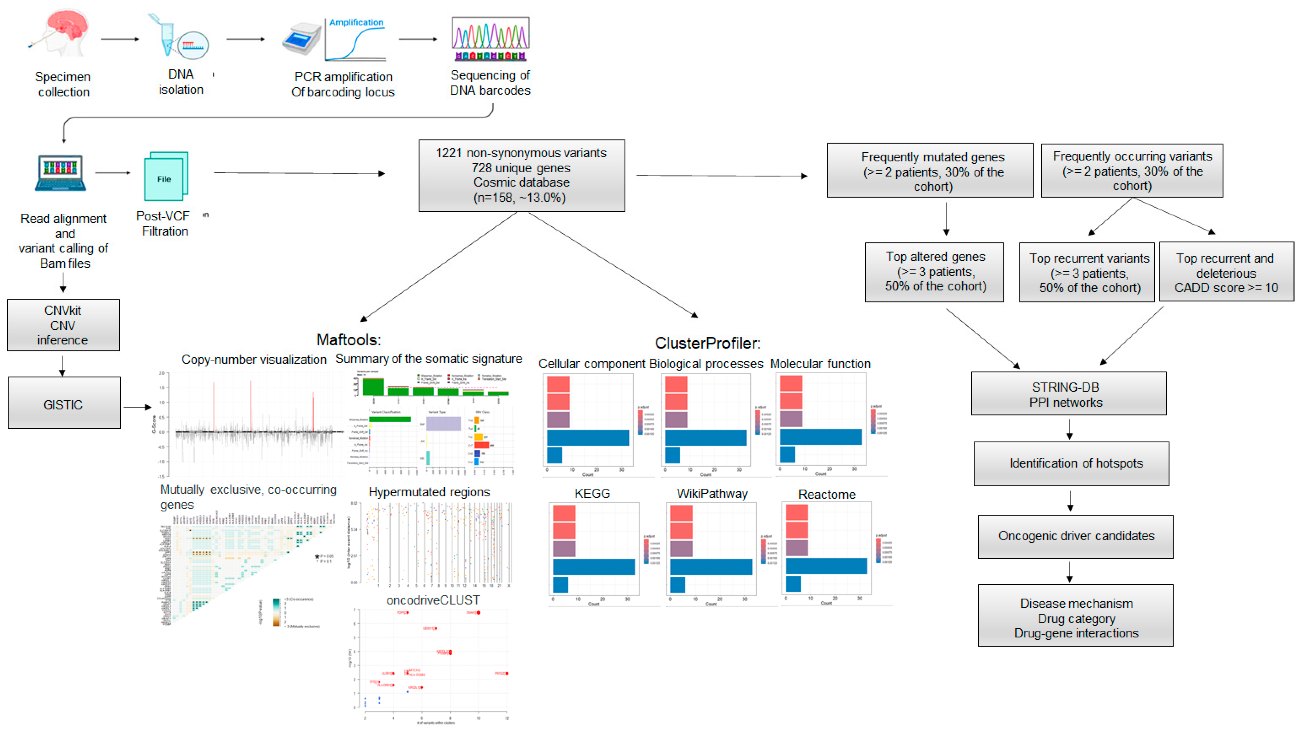 Cancers 16 03487 g001 Cancers 16 03487 g001