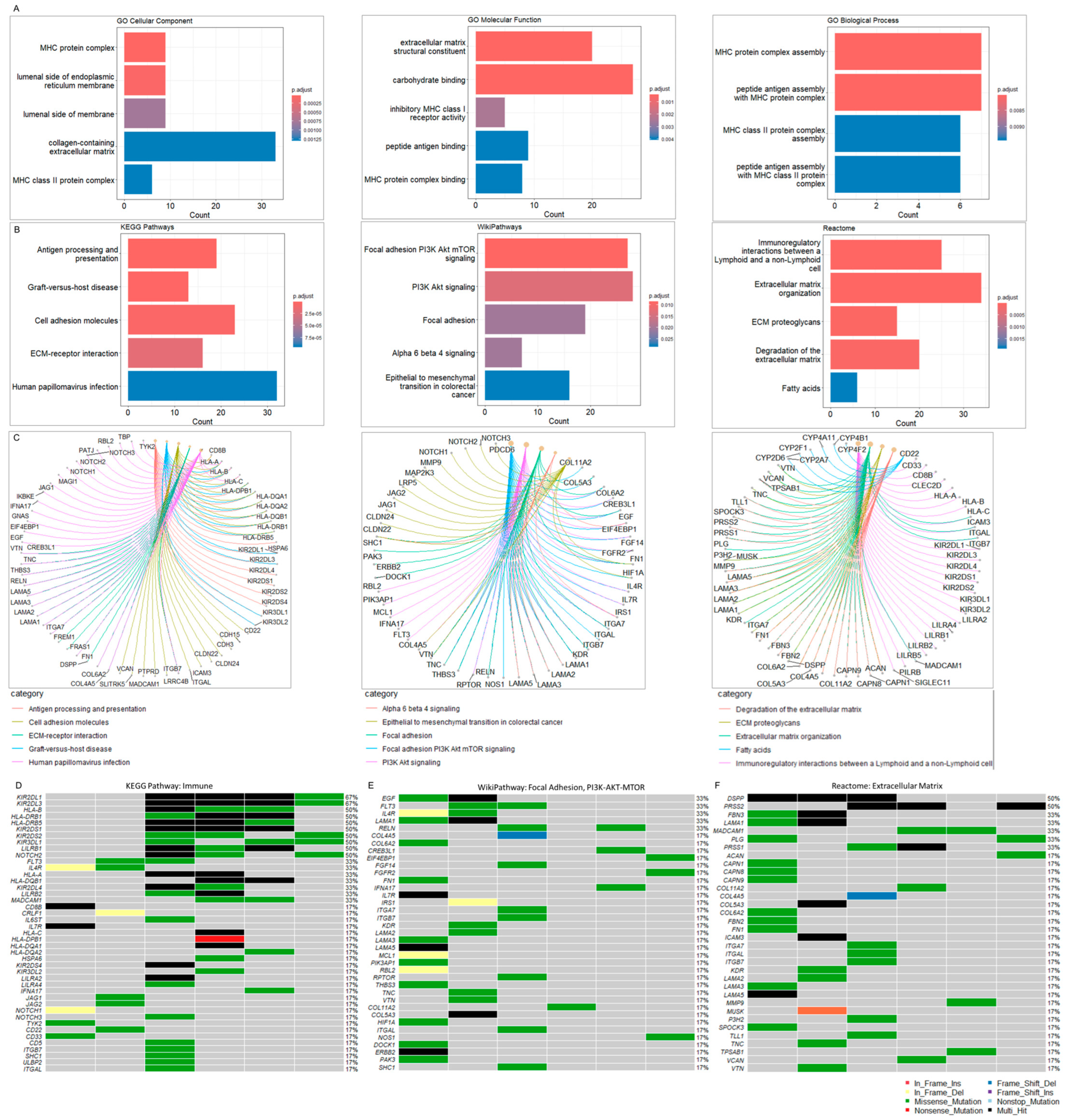 Cancers 16 03487 g003 Cancers 16 03487 g003