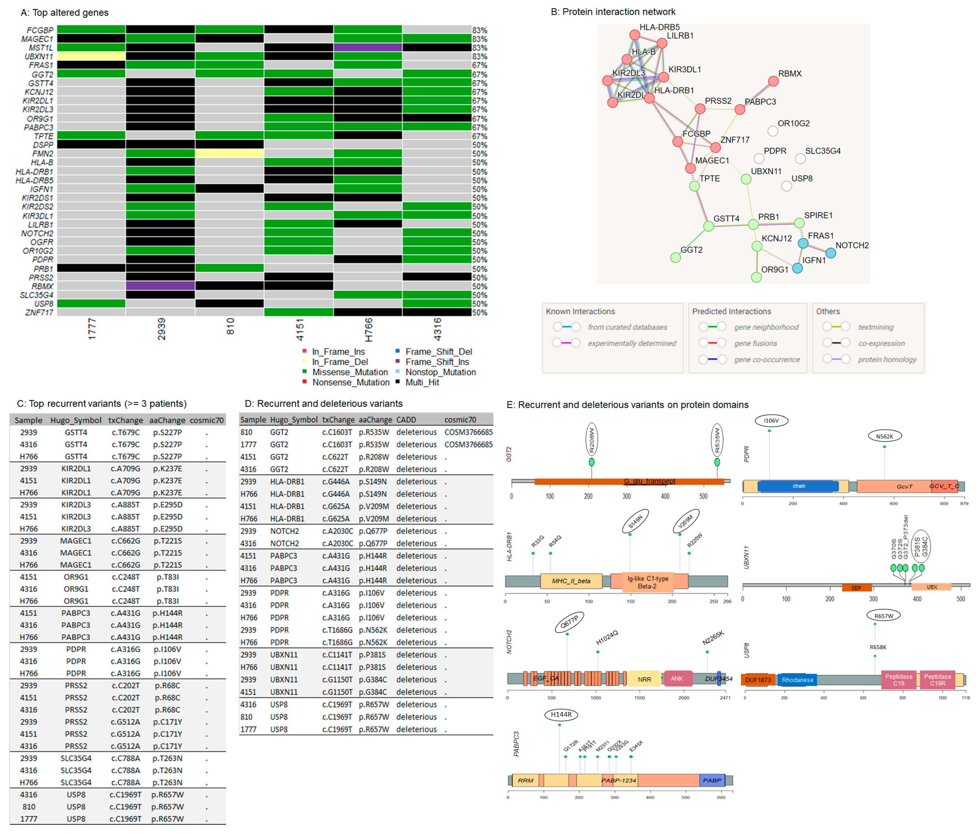 Cancers 16 03487 g004 Cancers 16 03487 g004