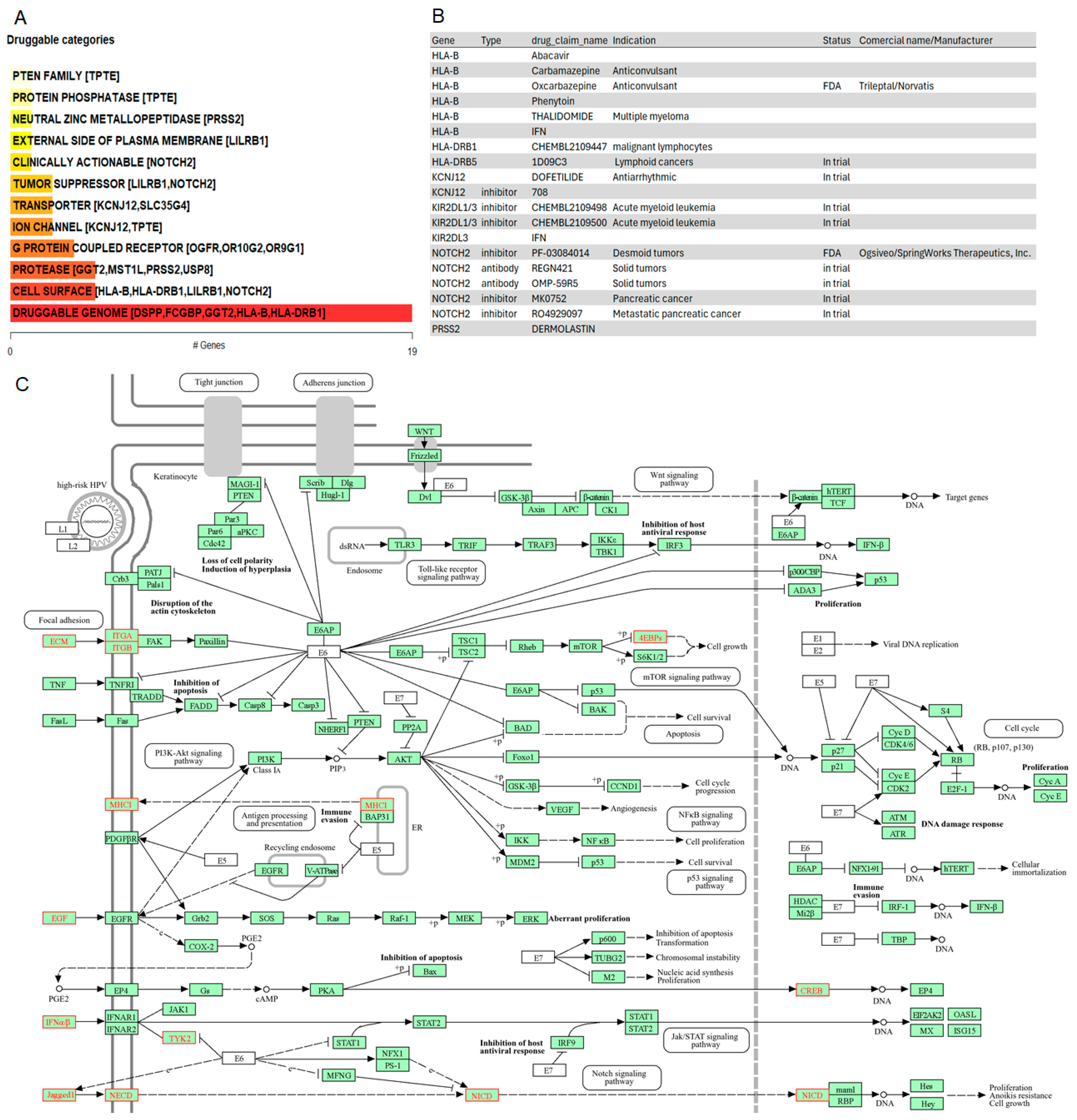 Cancers 16 03487 g006 Cancers 16 03487 g006