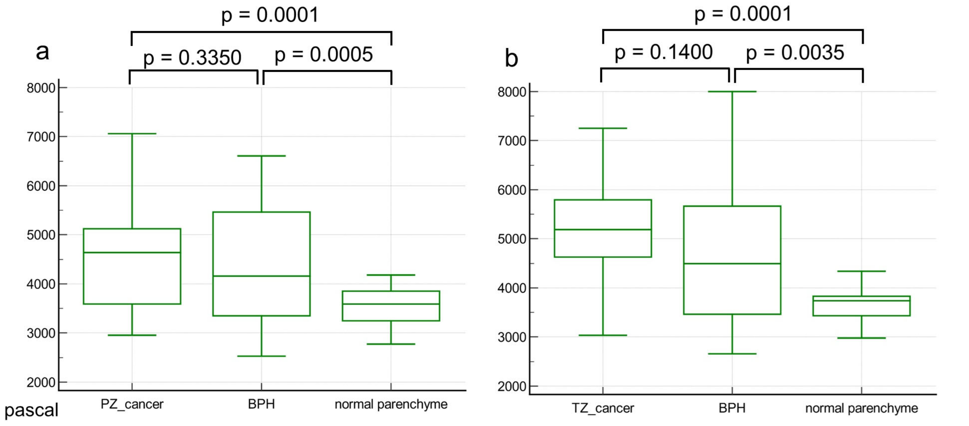 Cancers 16 03494 g003