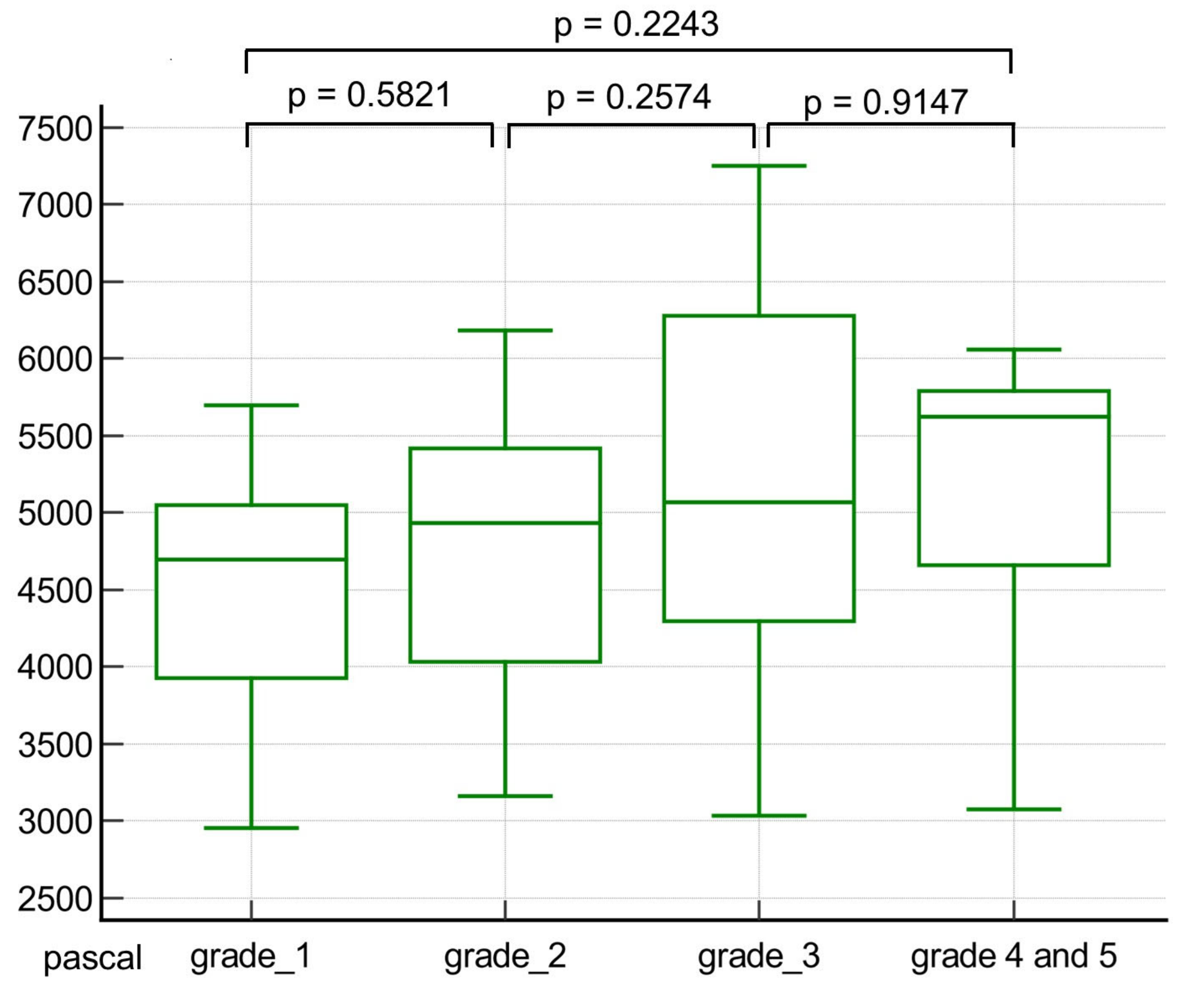 Cancers 16 03494 g004