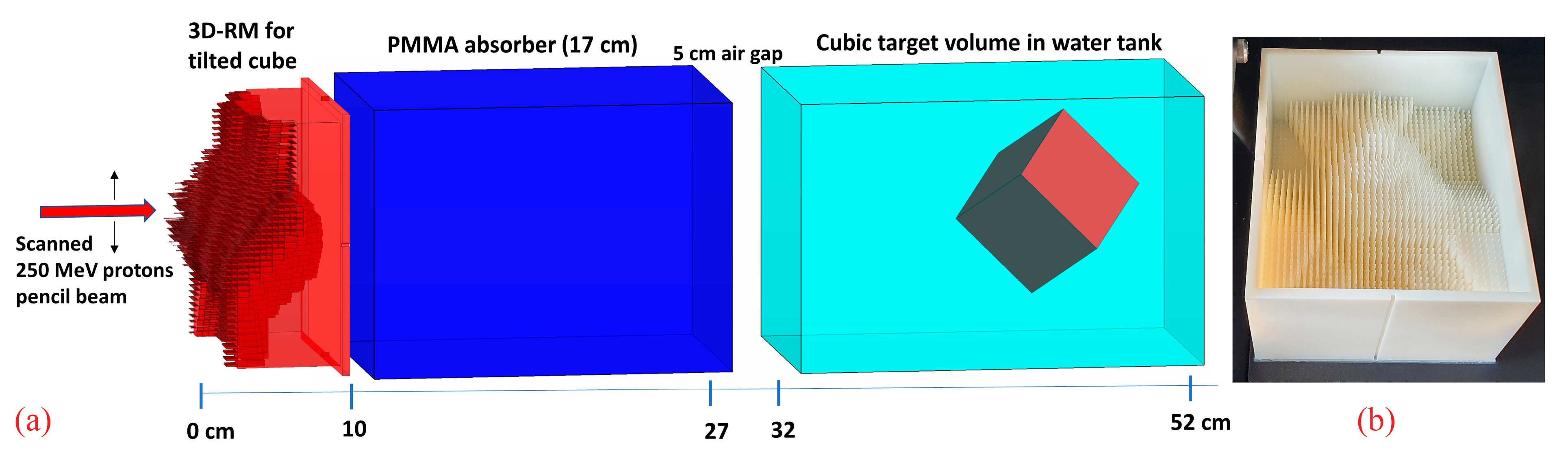 Cancers 16 03498 g001