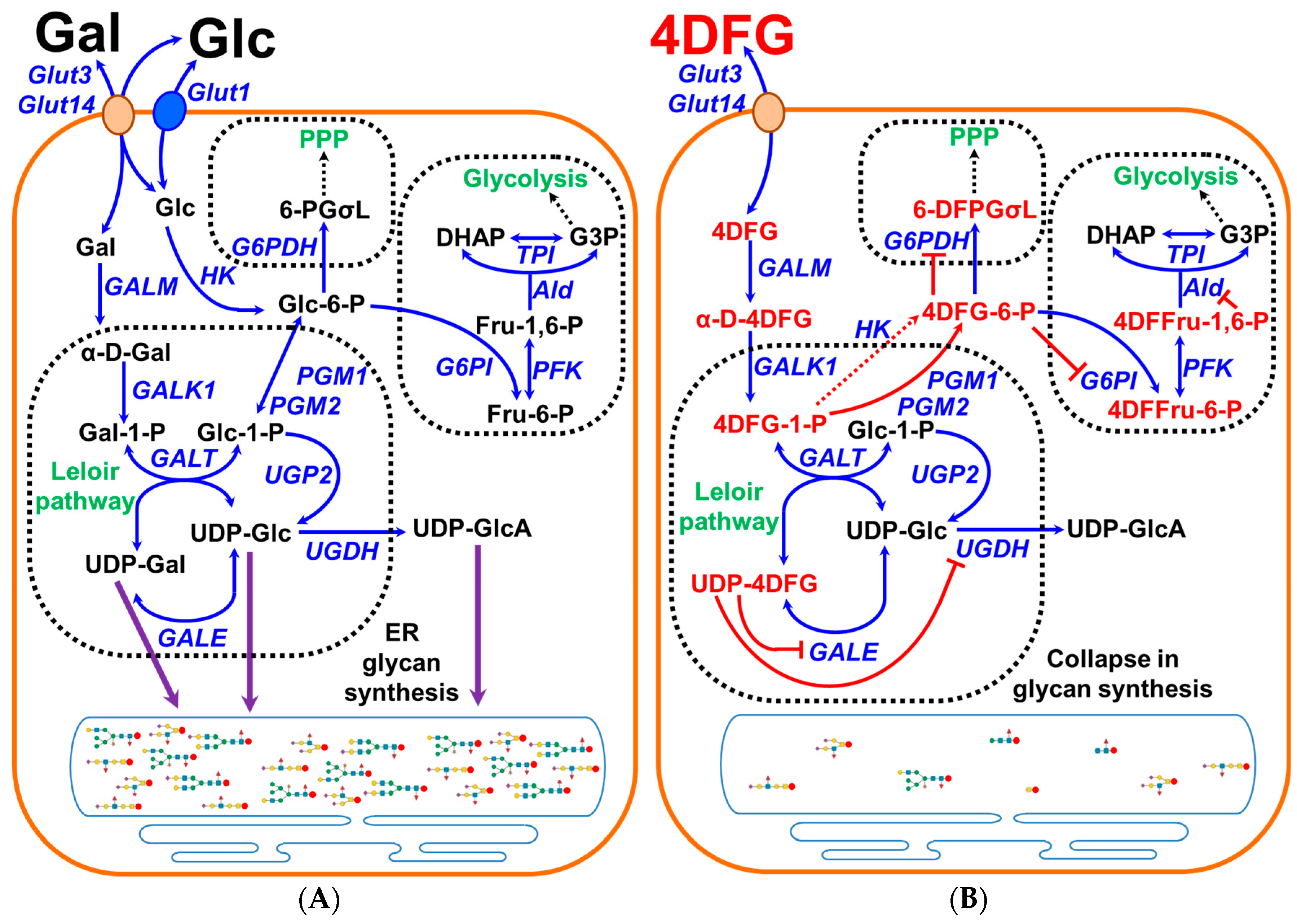 Cancers 16 03510 g001 Cancers 16 03510 g001