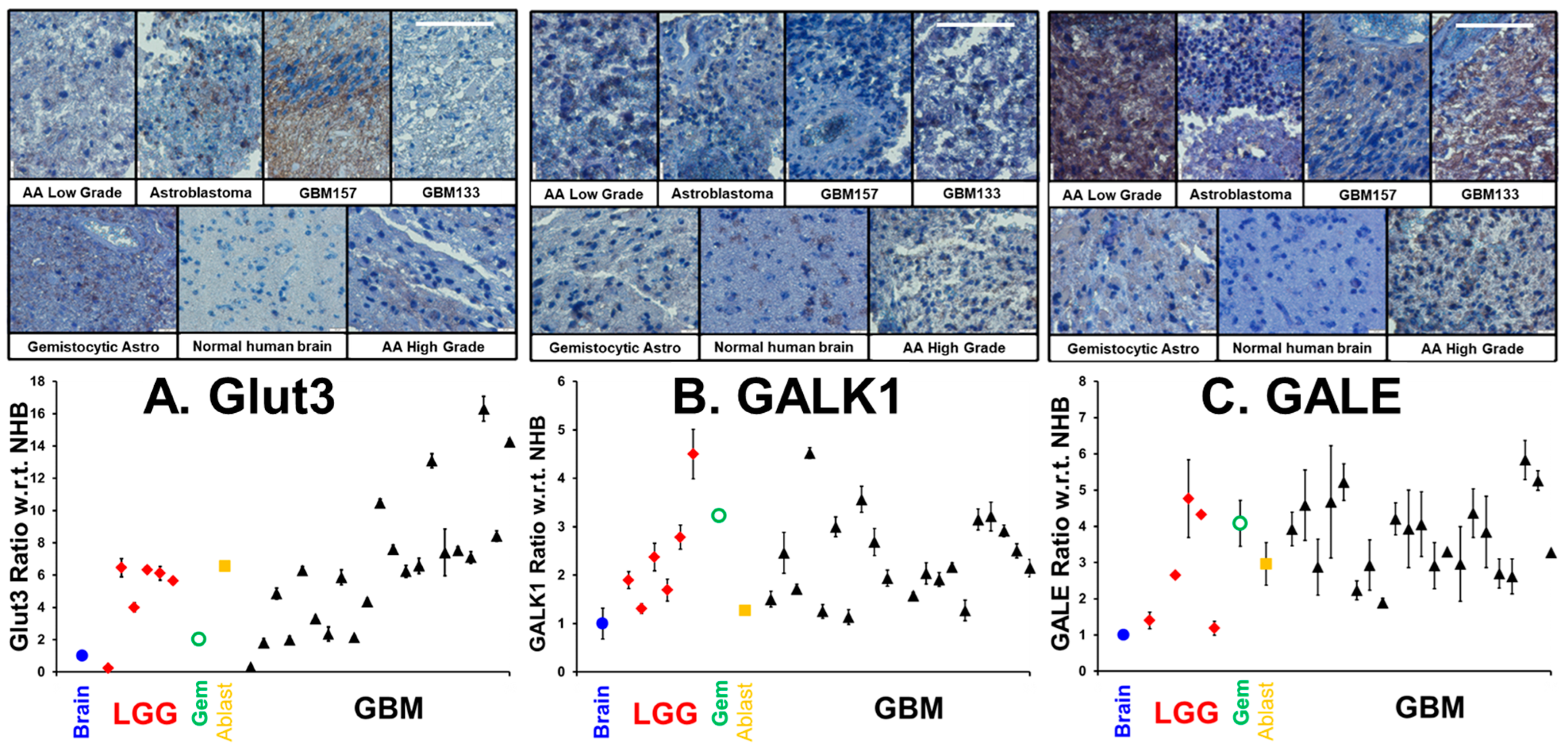 Cancers 16 03510 g002 Cancers 16 03510 g002