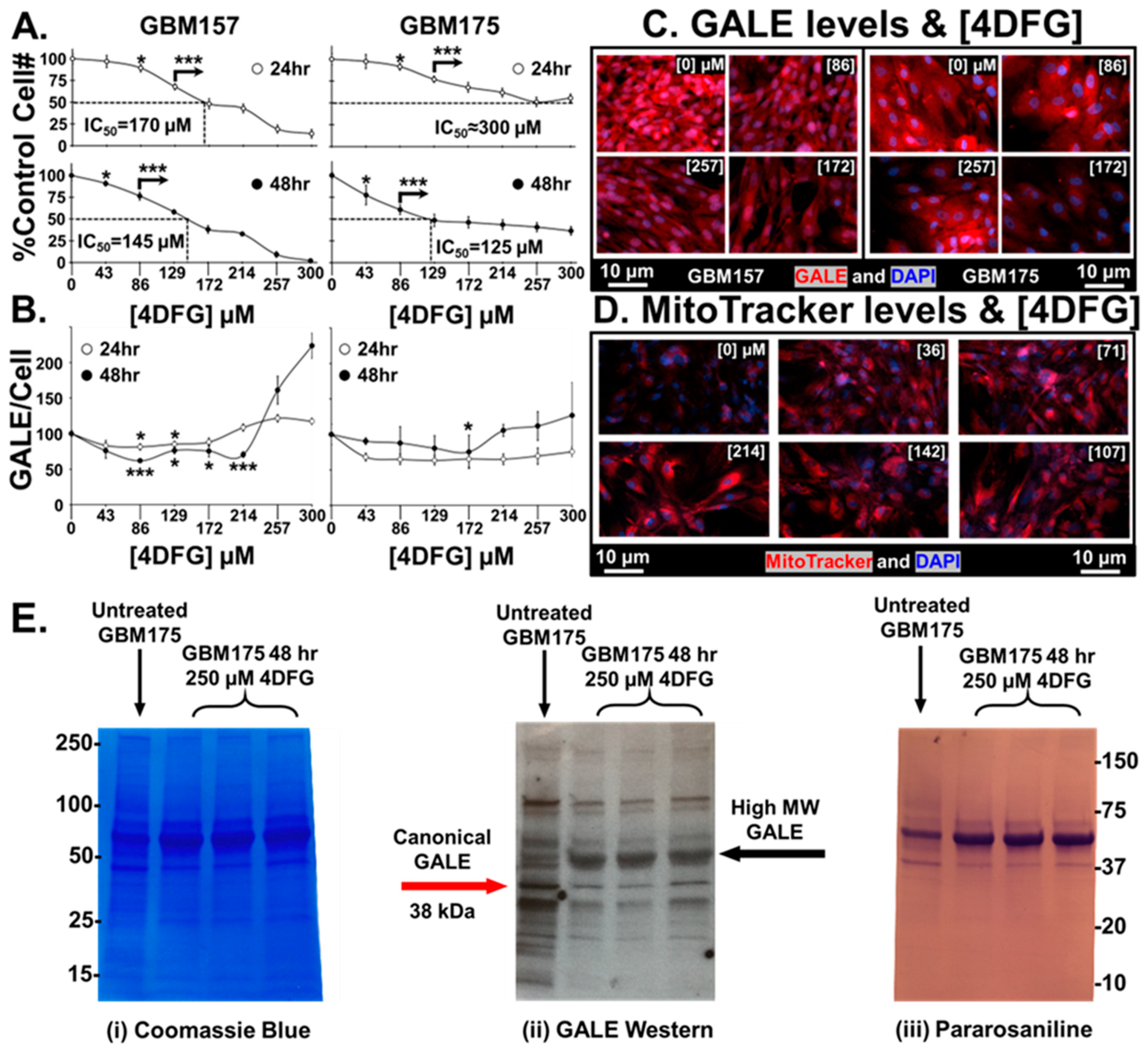 Cancers 16 03510 g003 Cancers 16 03510 g003