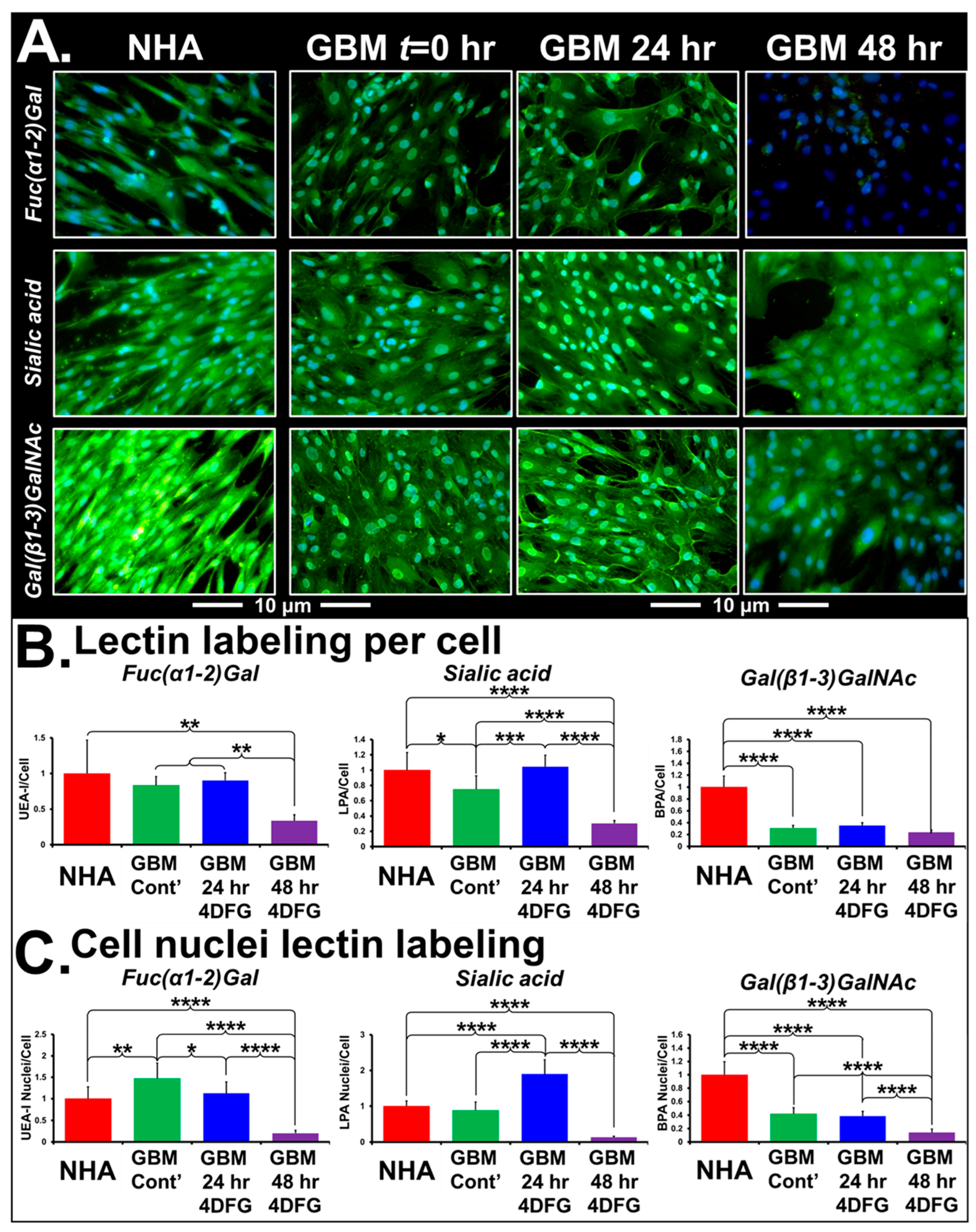Cancers 16 03510 g005 Cancers 16 03510 g005